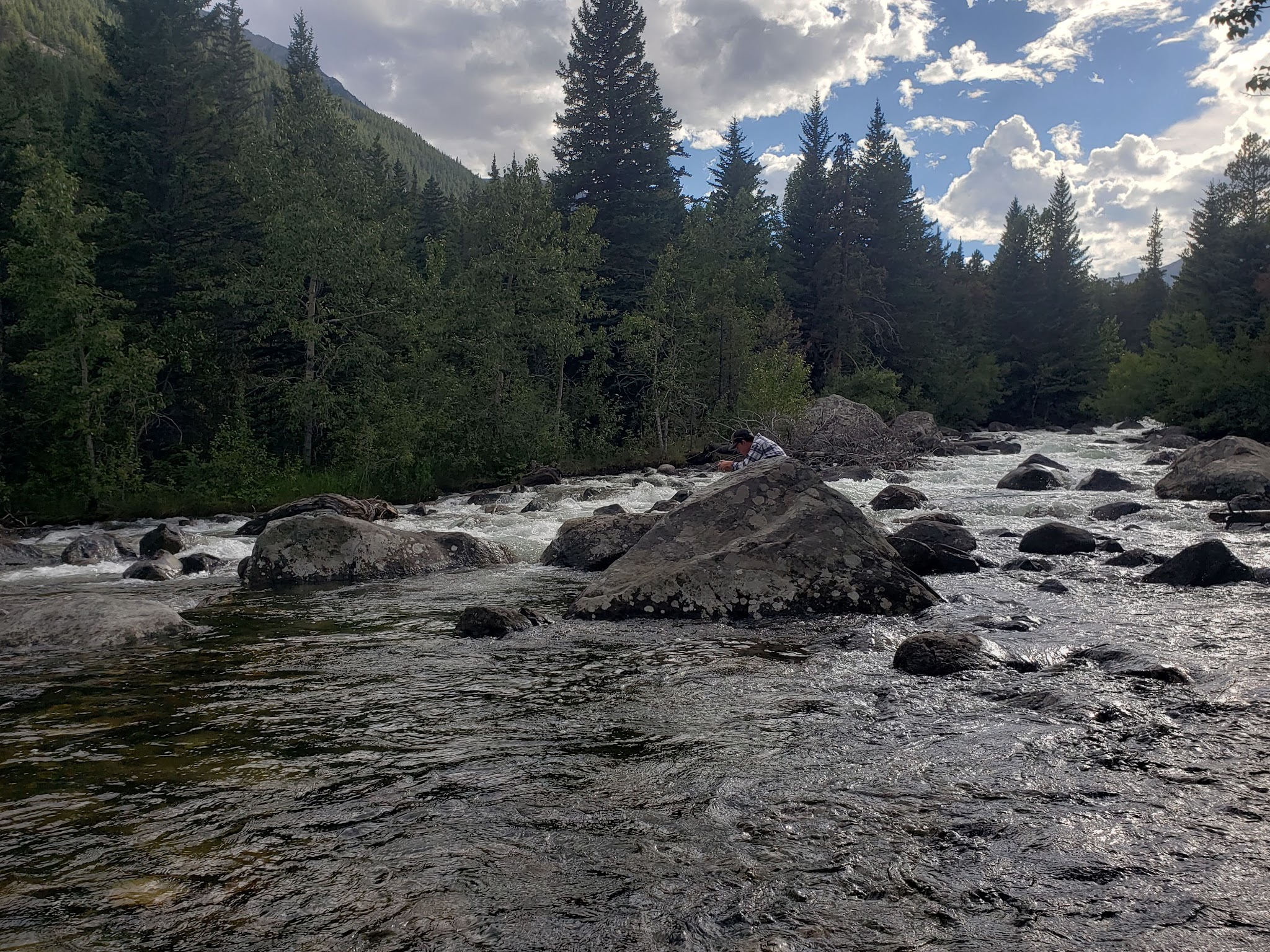 Pine Grove Campground