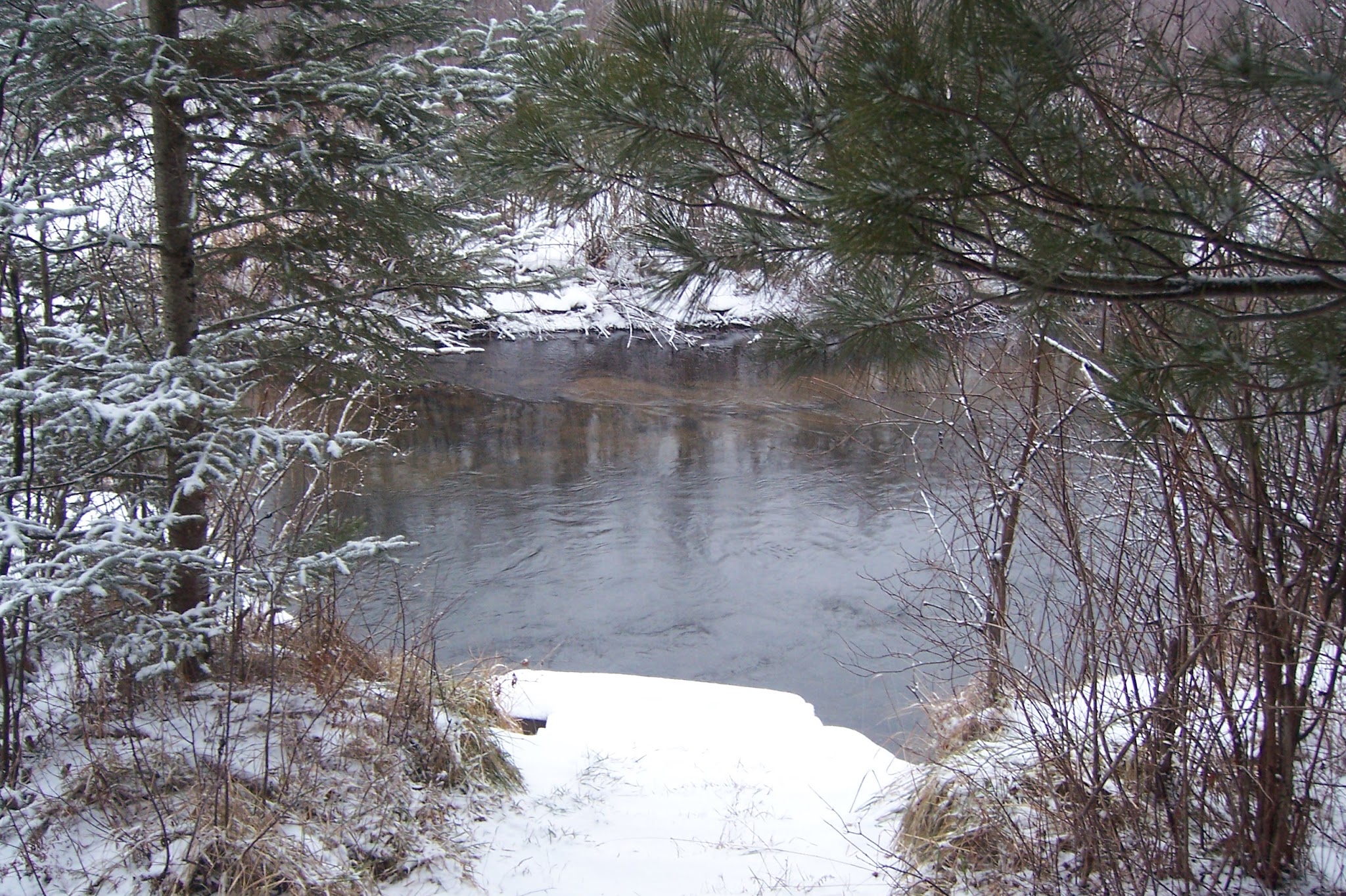 Pine Grove State Forest Campground