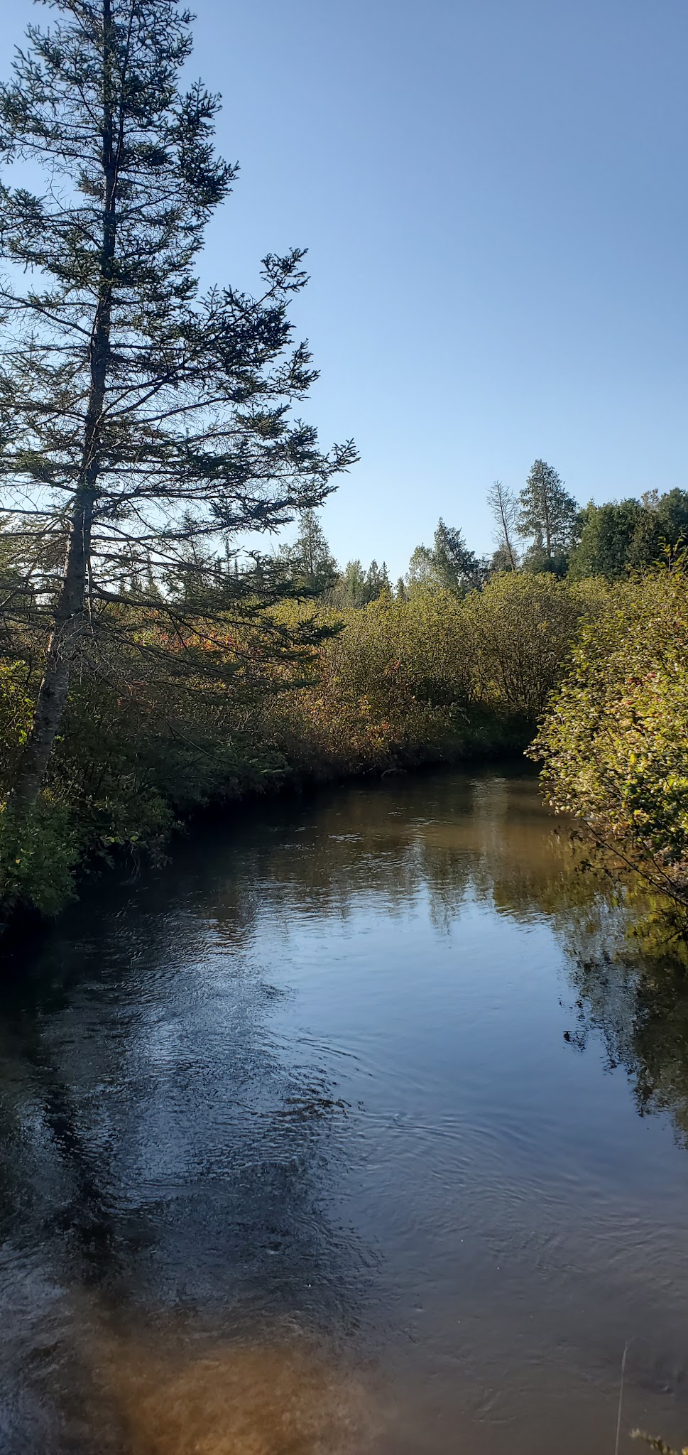 Pine Grove State Forest Campground