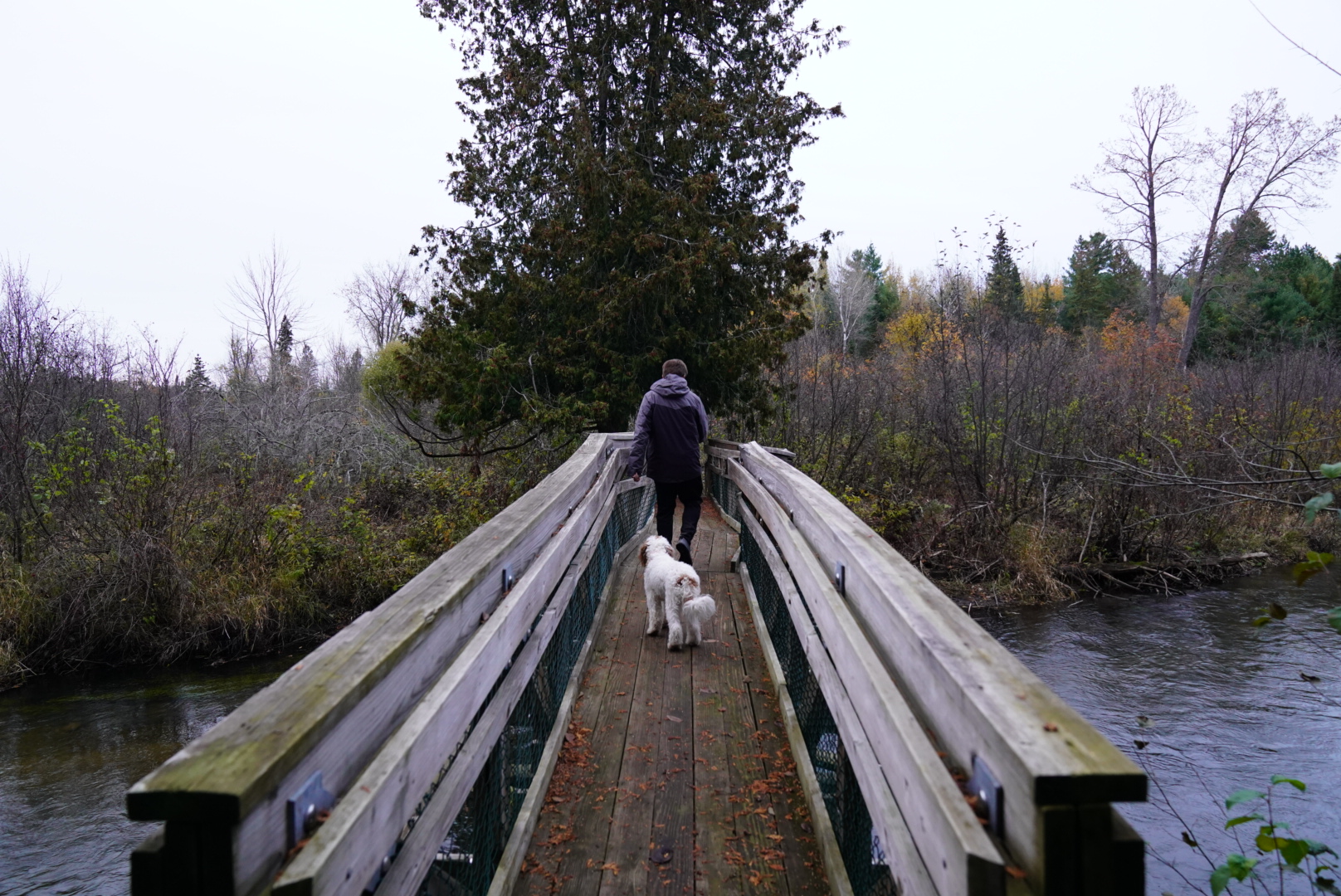 Pine Grove State Forest Campground