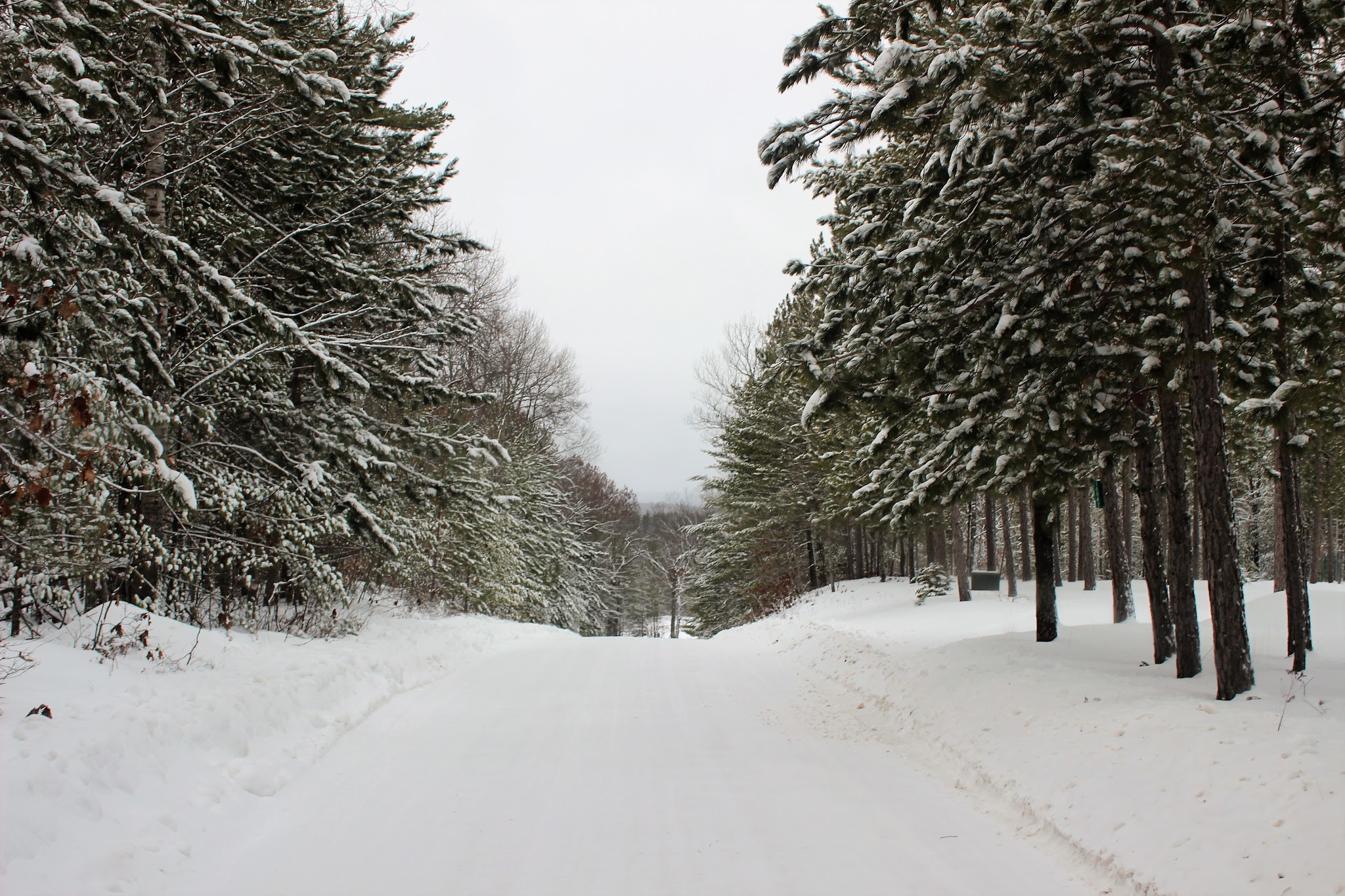 Pine Grove State Forest Campground
