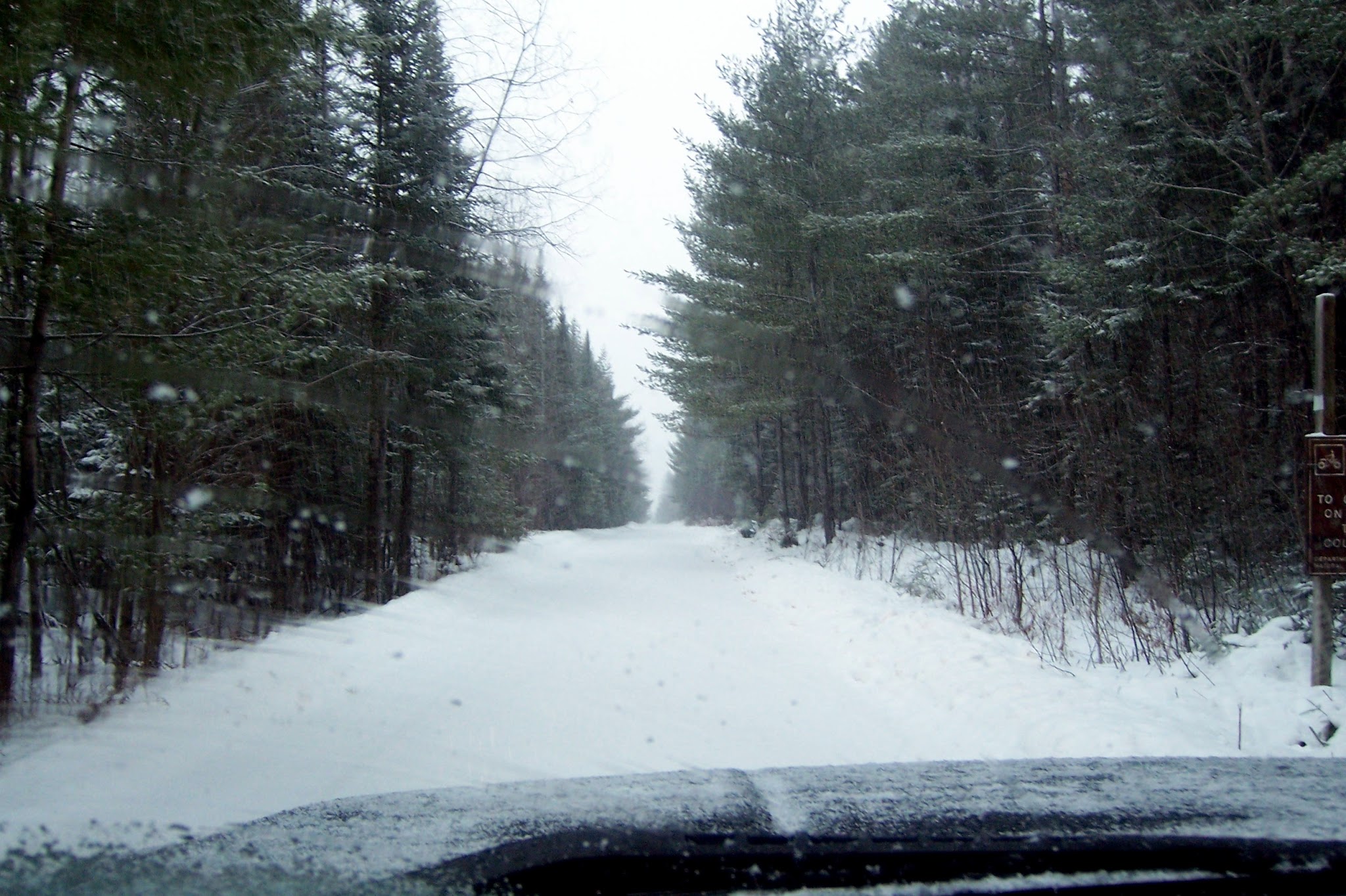 Pine Grove State Forest Campground