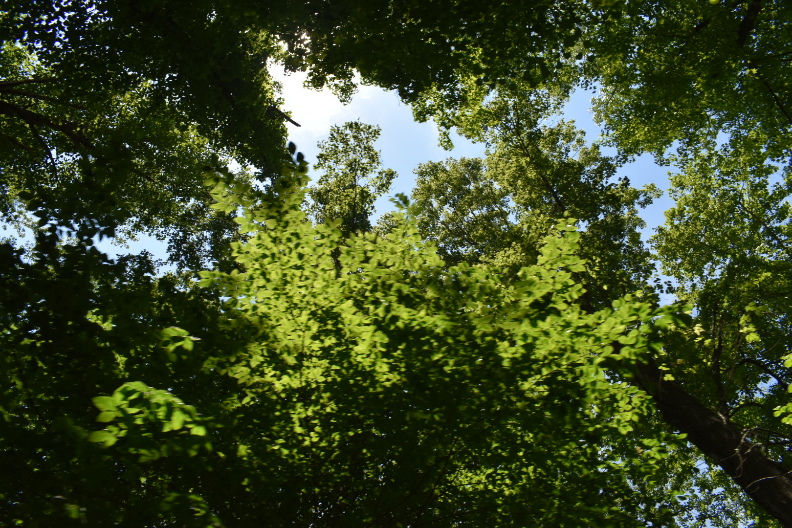 Pine Hills Campground