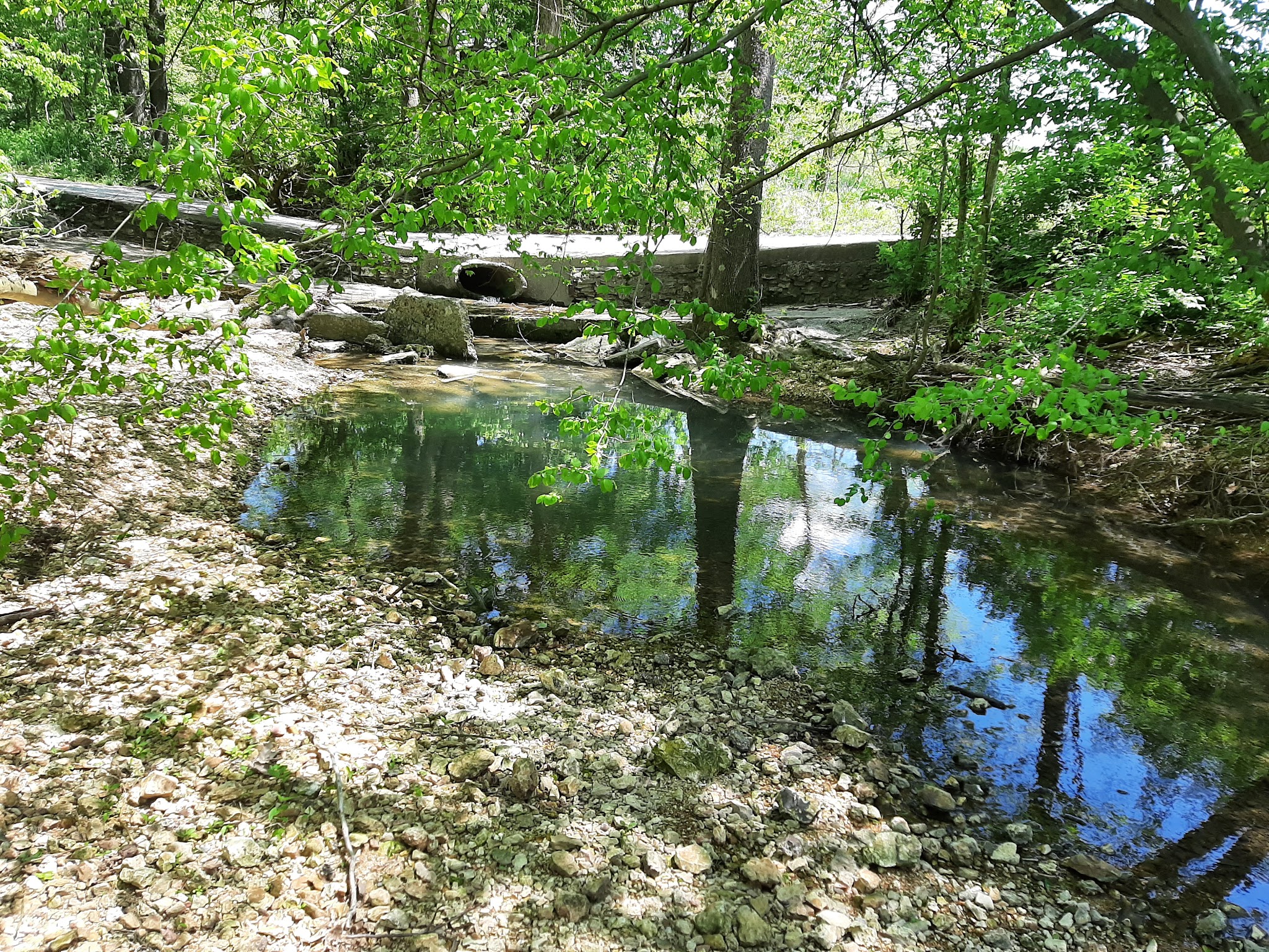 Pine Hills Campground