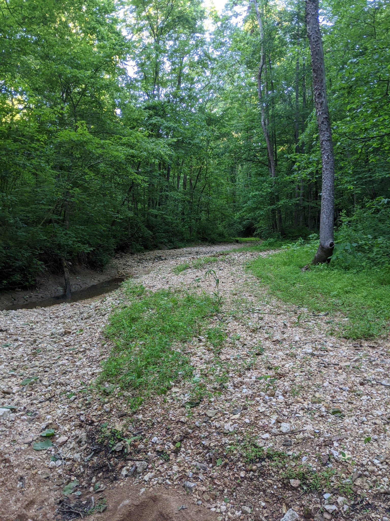 Pine Hills Campground