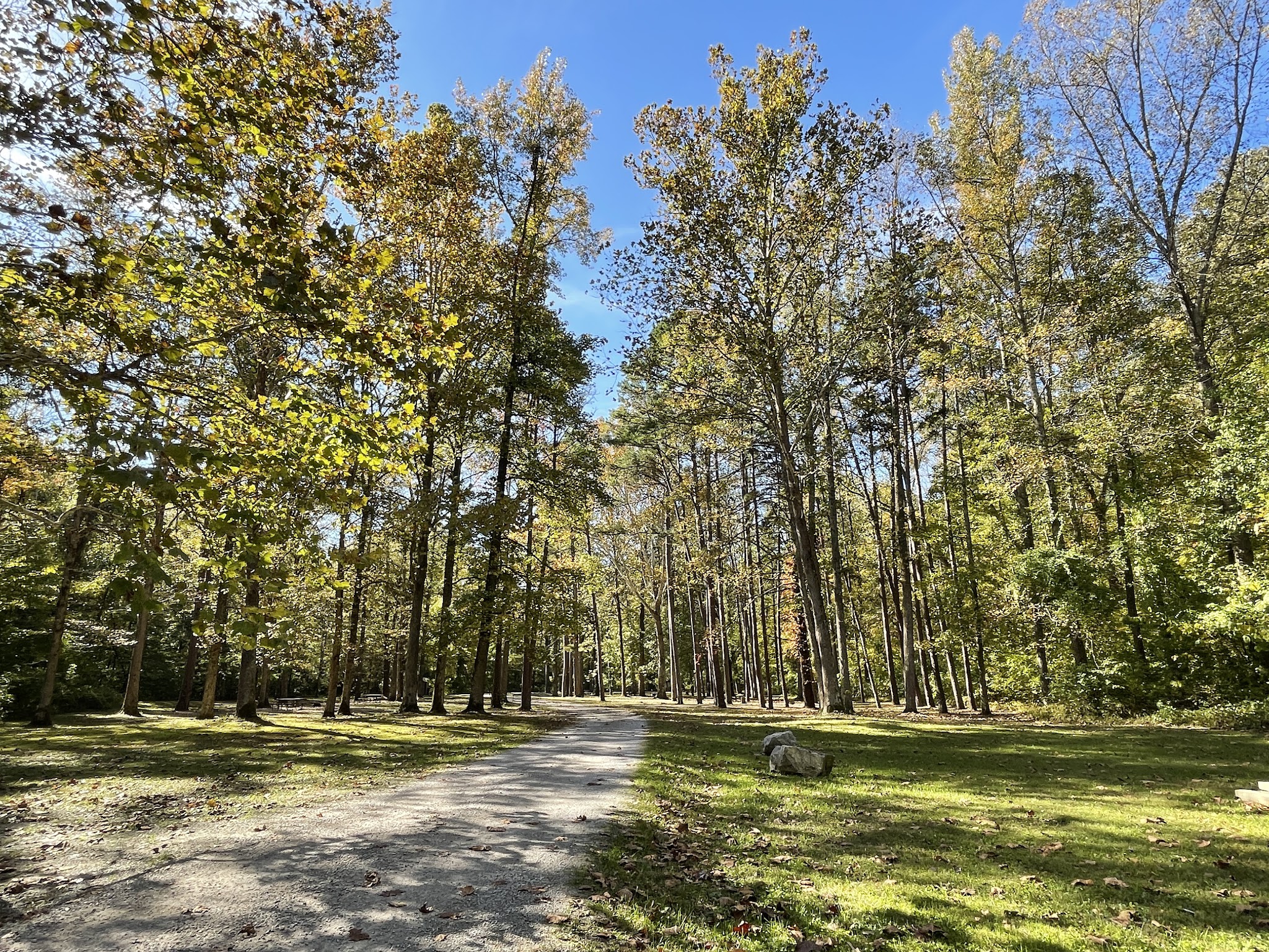 Pine Hills Campground