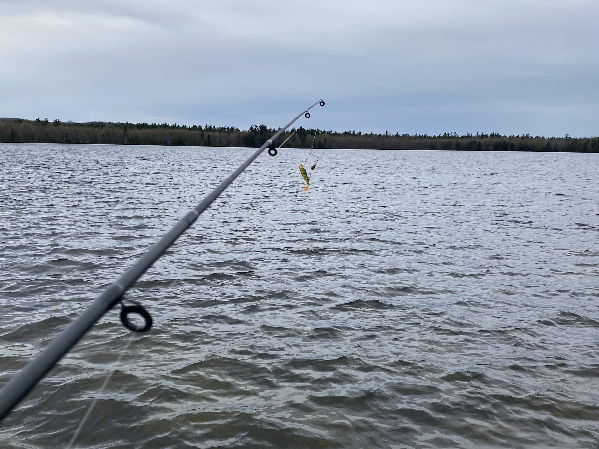 Pine Lake Campground