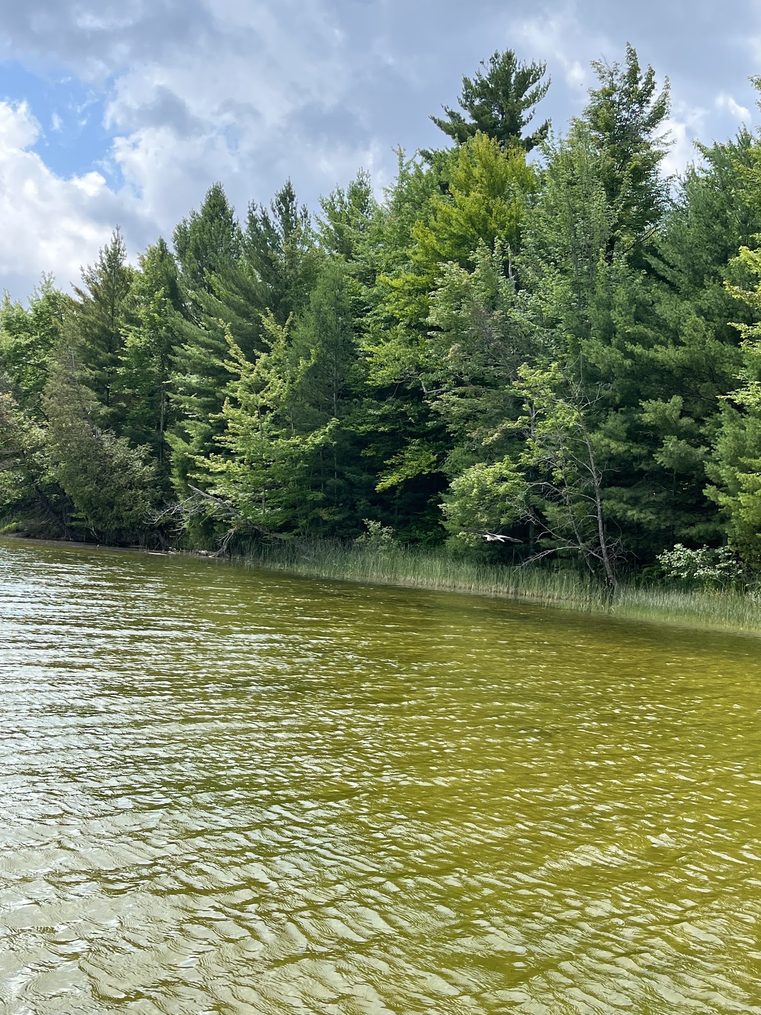 Pine Lake Campground