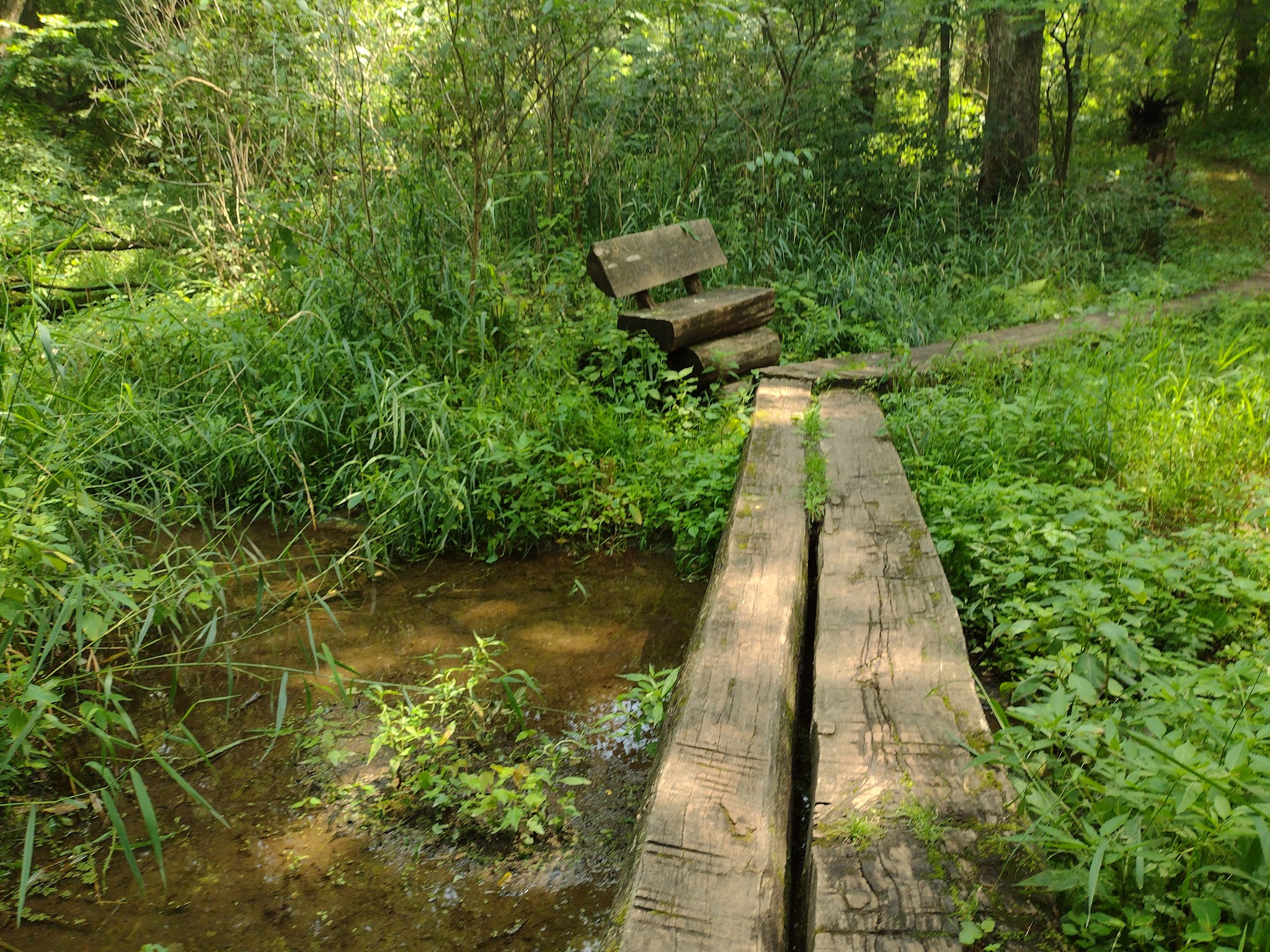 Pine Lake State Park