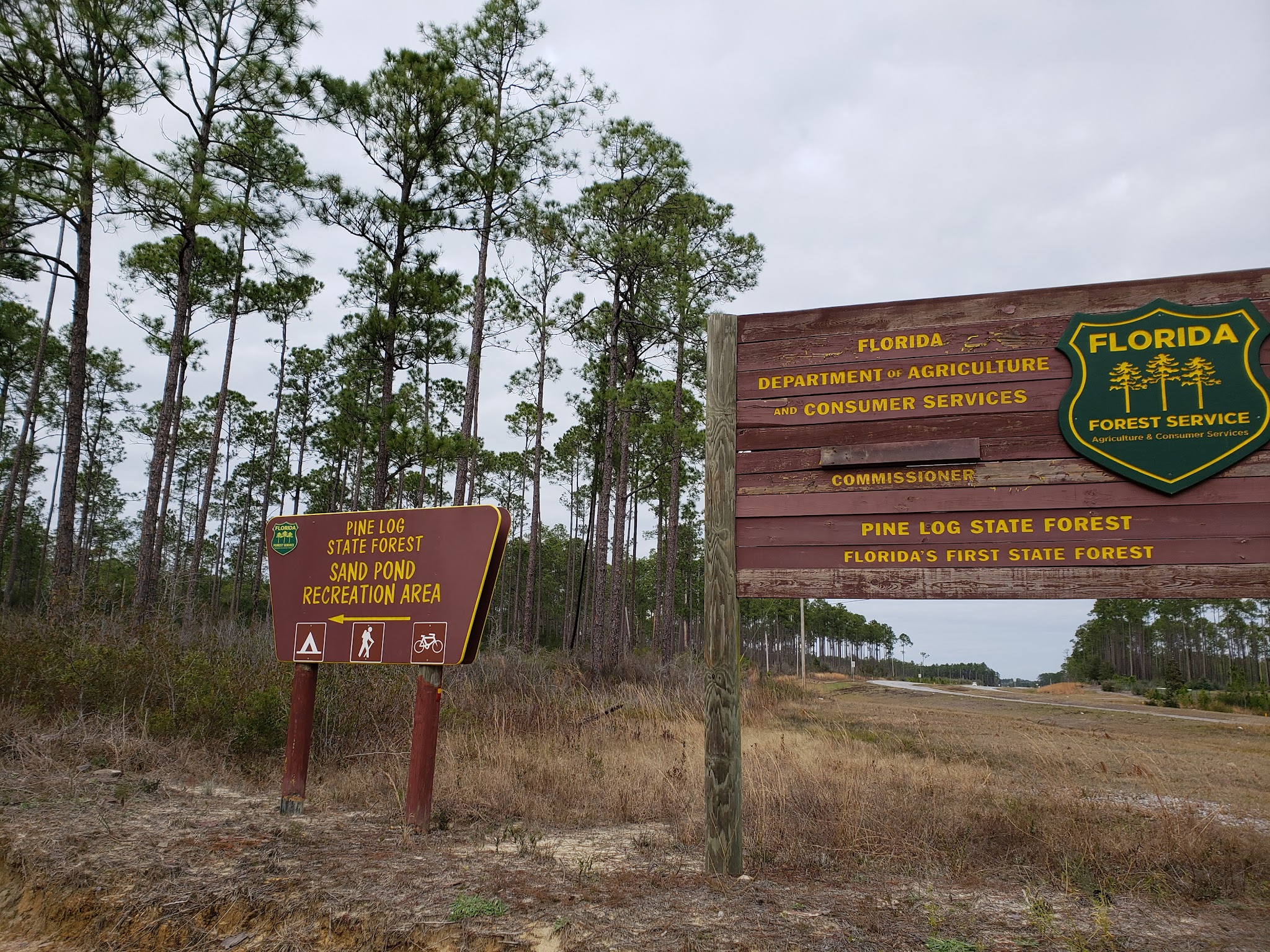 Baptism Hole Group Camp Pine Log  State Forest
