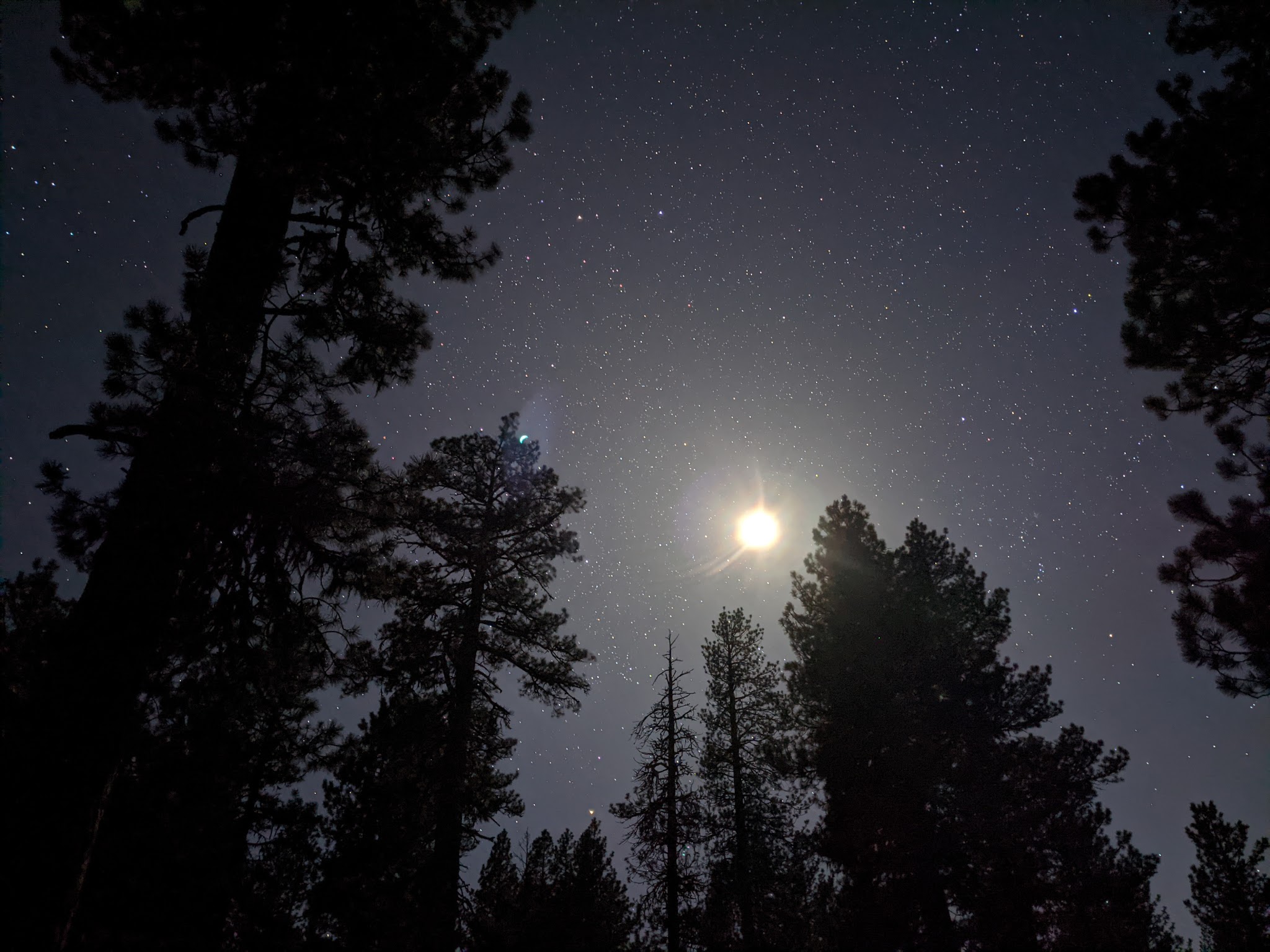 Pine Mountain Campground