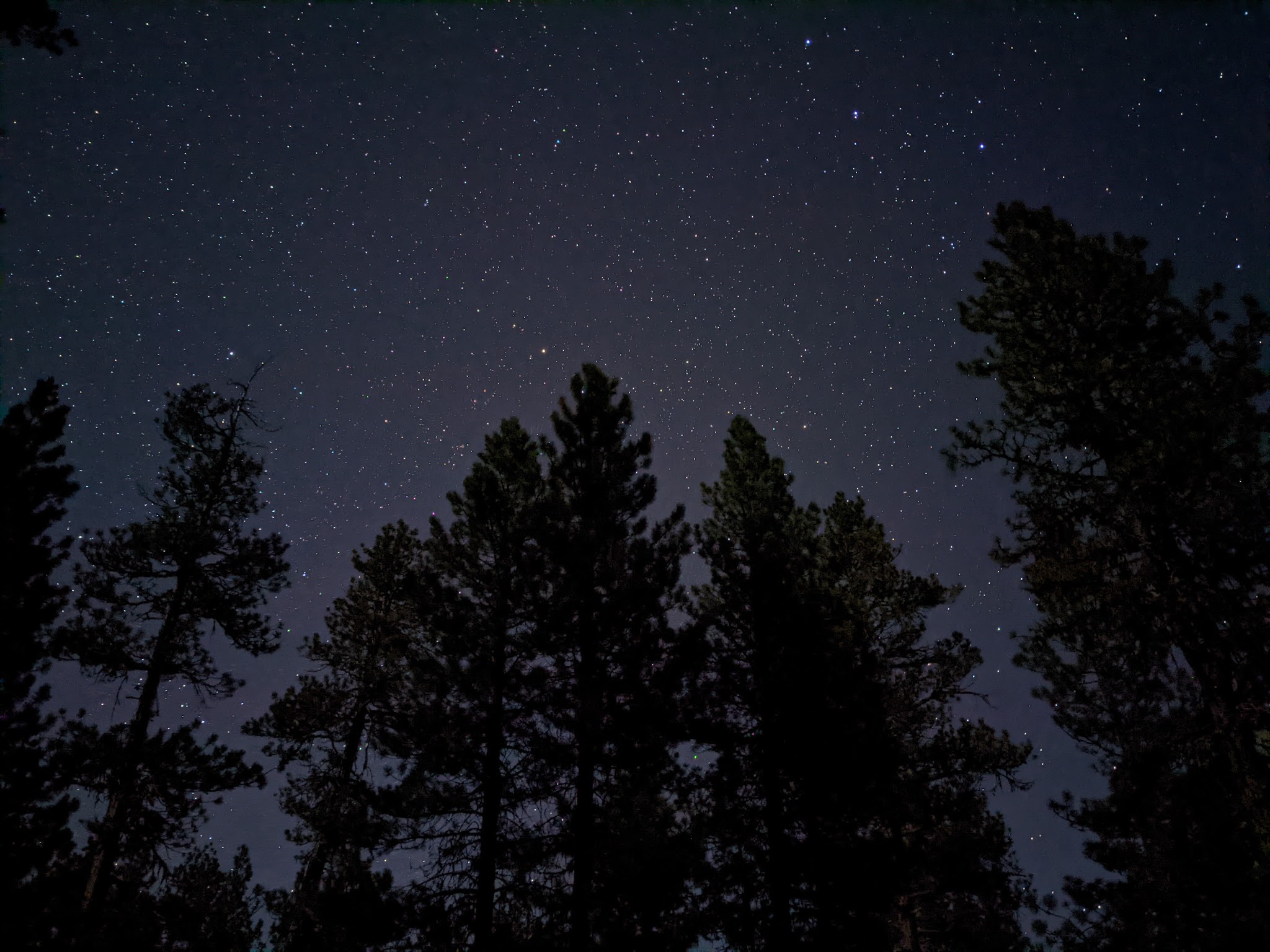 Pine Mountain Campground