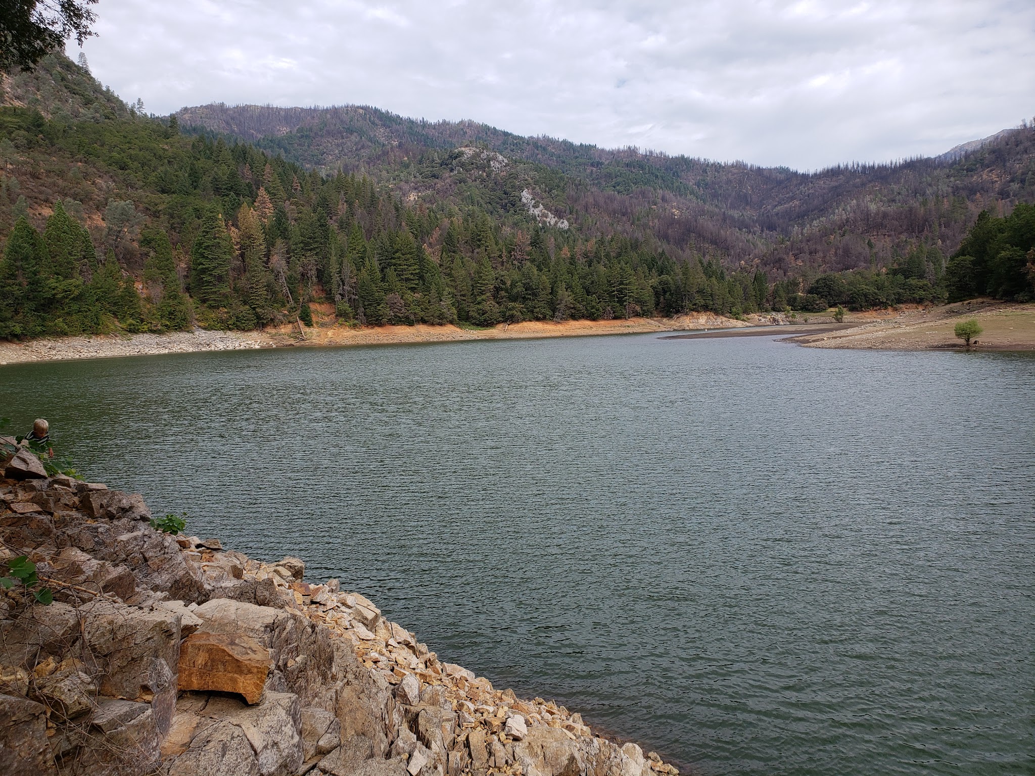 Pine Point (Shasta Lake, Ca)