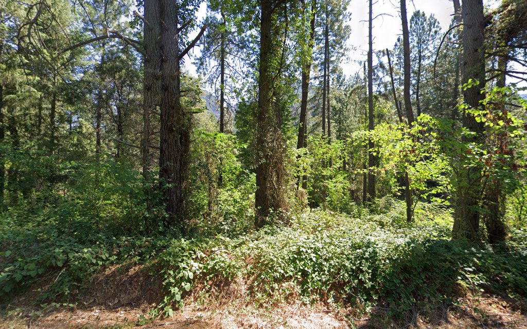 Pine Point (Shasta Lake, Ca)