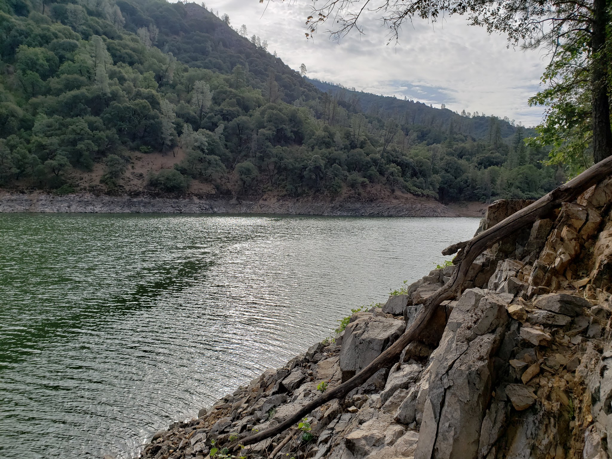 Pine Point (Shasta Lake, Ca)