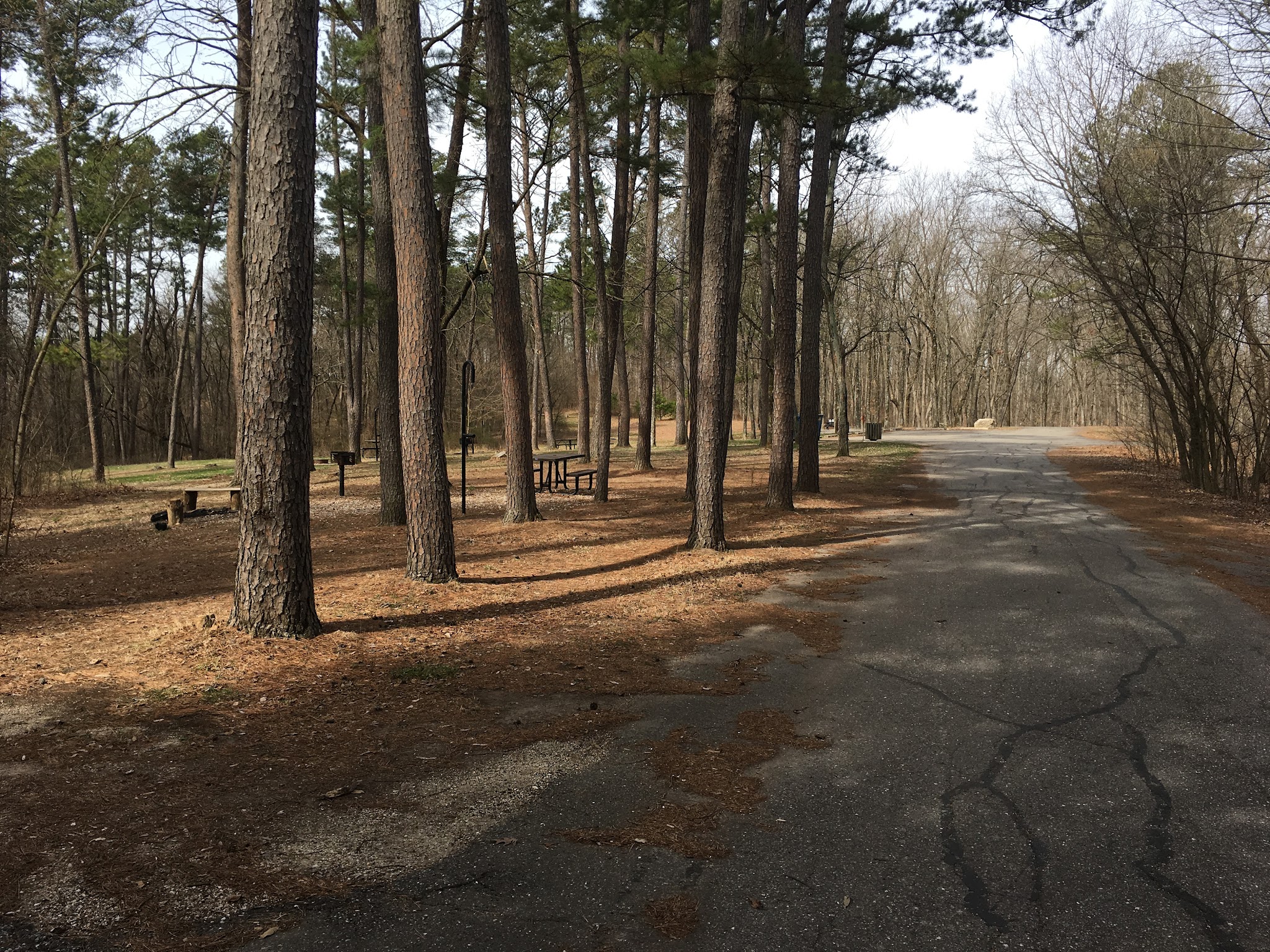 Pine Ridge Recreation Area