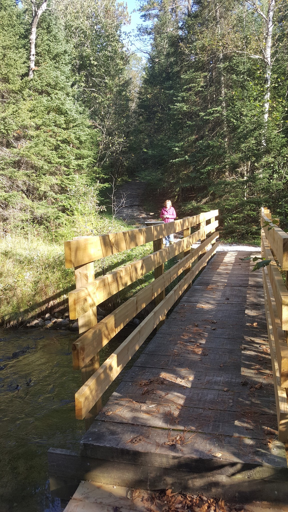 Pine River Campground