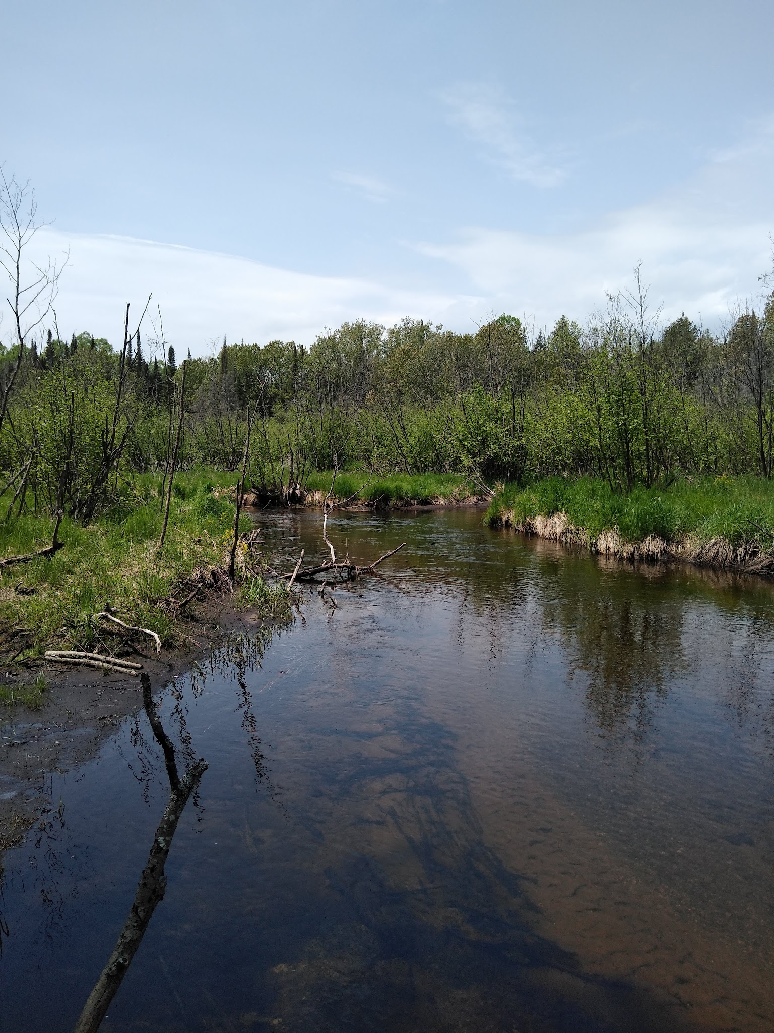 Pine River Campground