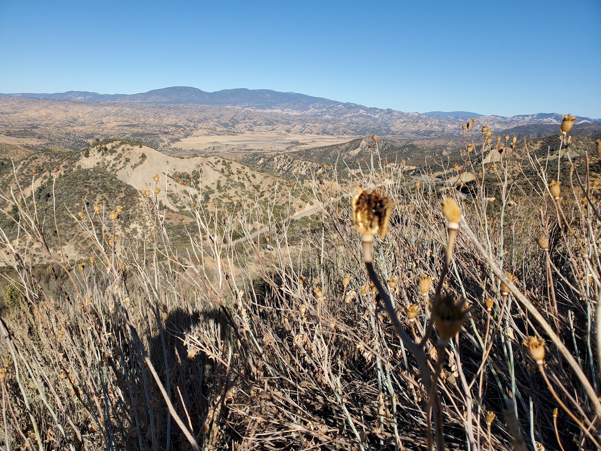 Pine Springs Campground