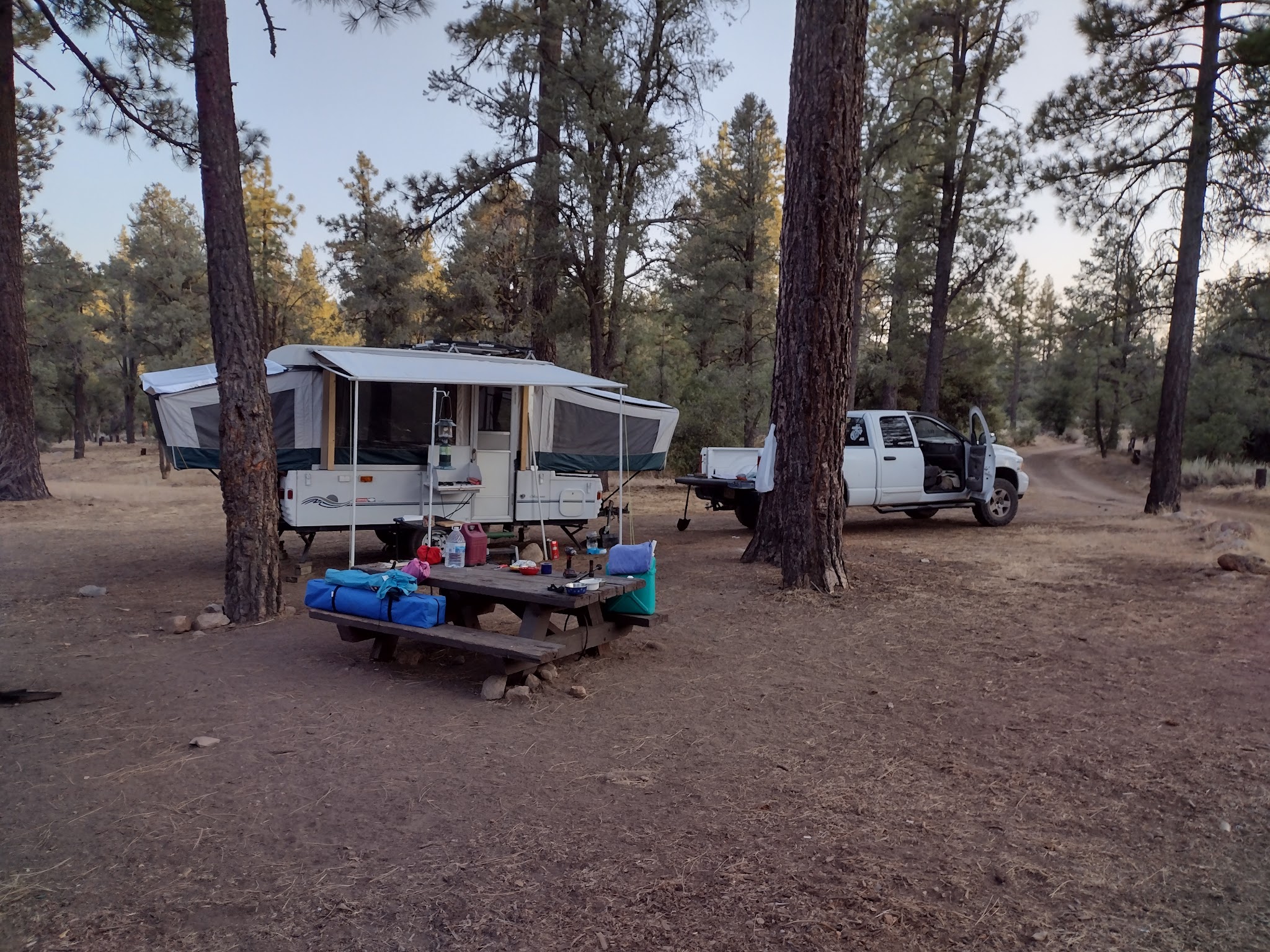 Pine Springs Campground
