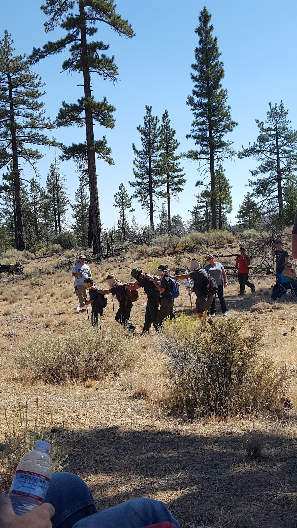 Pine Springs Campground