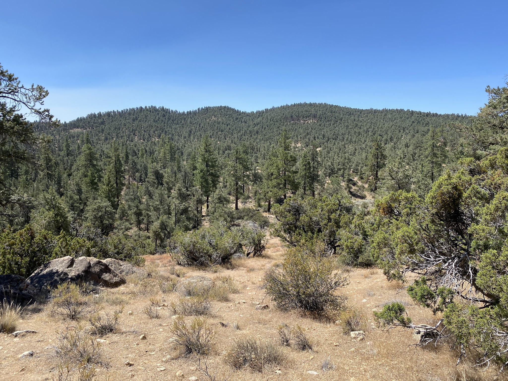 Pine Springs Campground