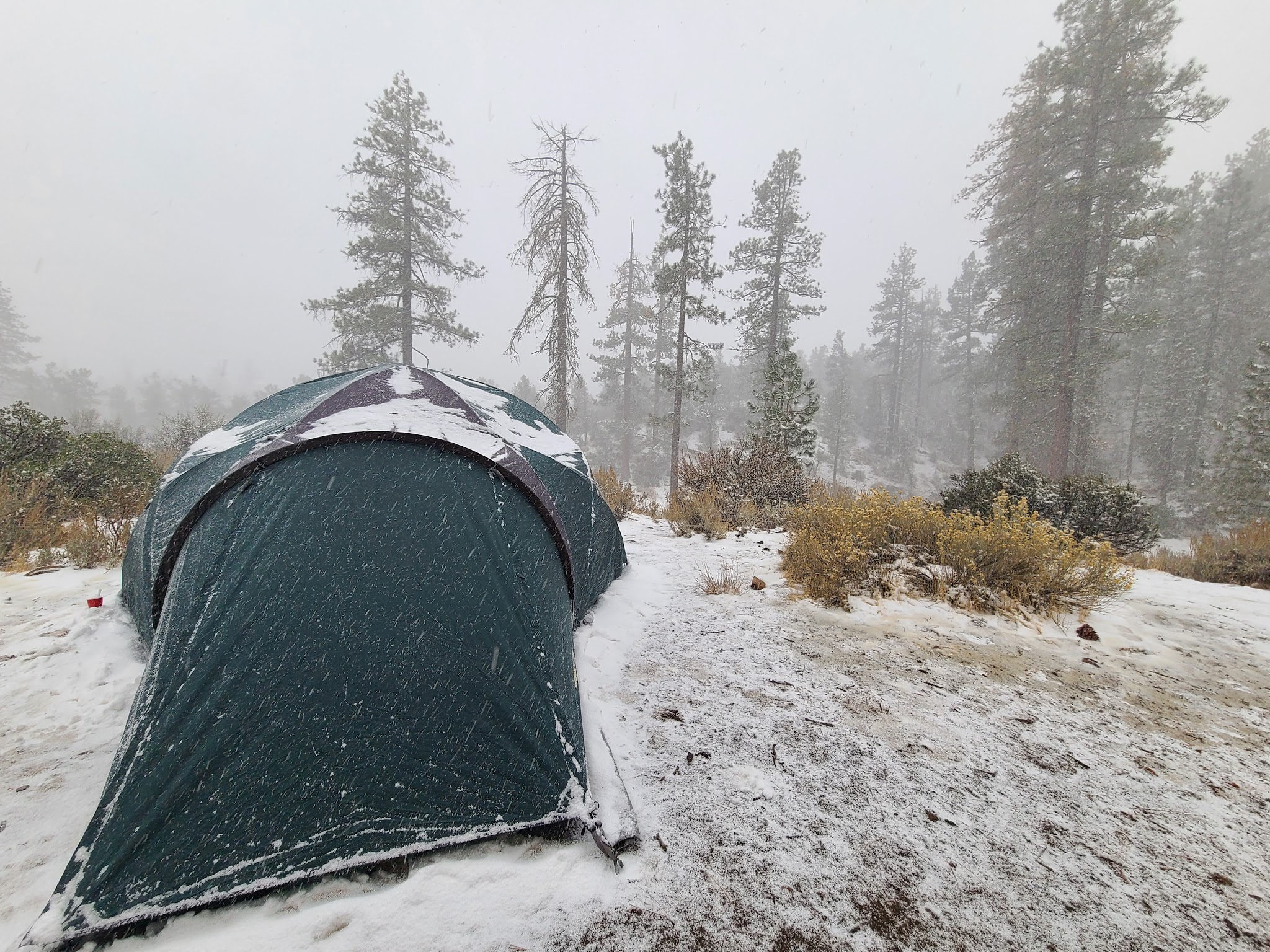 Pine Springs Campground