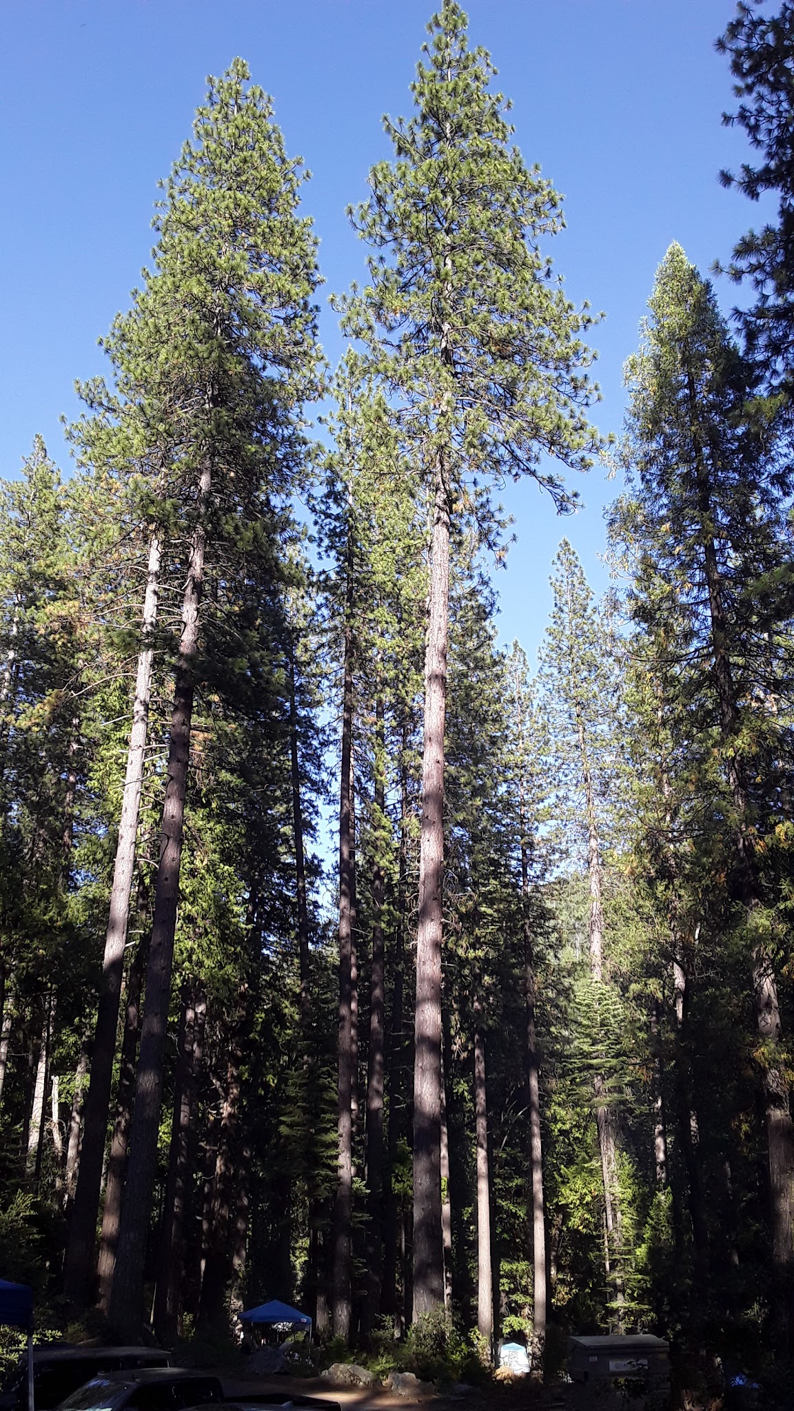 Wakalu Hep Yo (Wild River) Campground