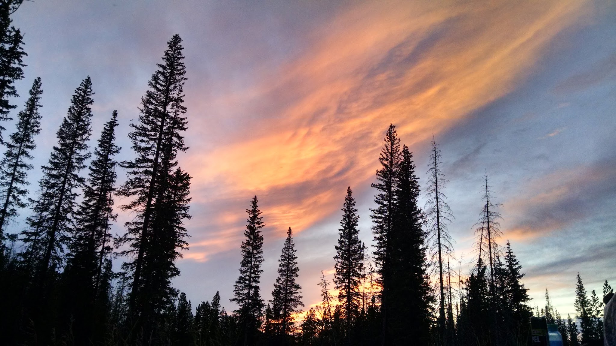 Pines Campground