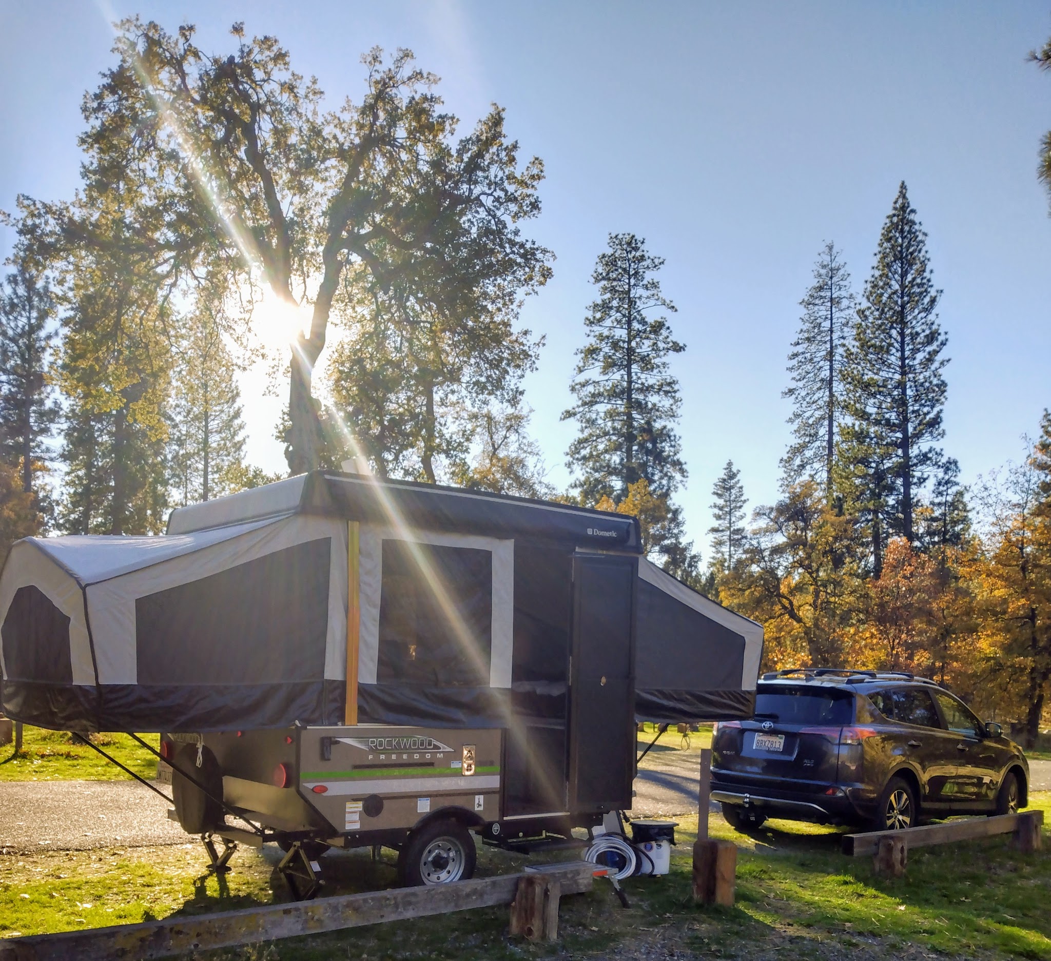 Pines Campground
