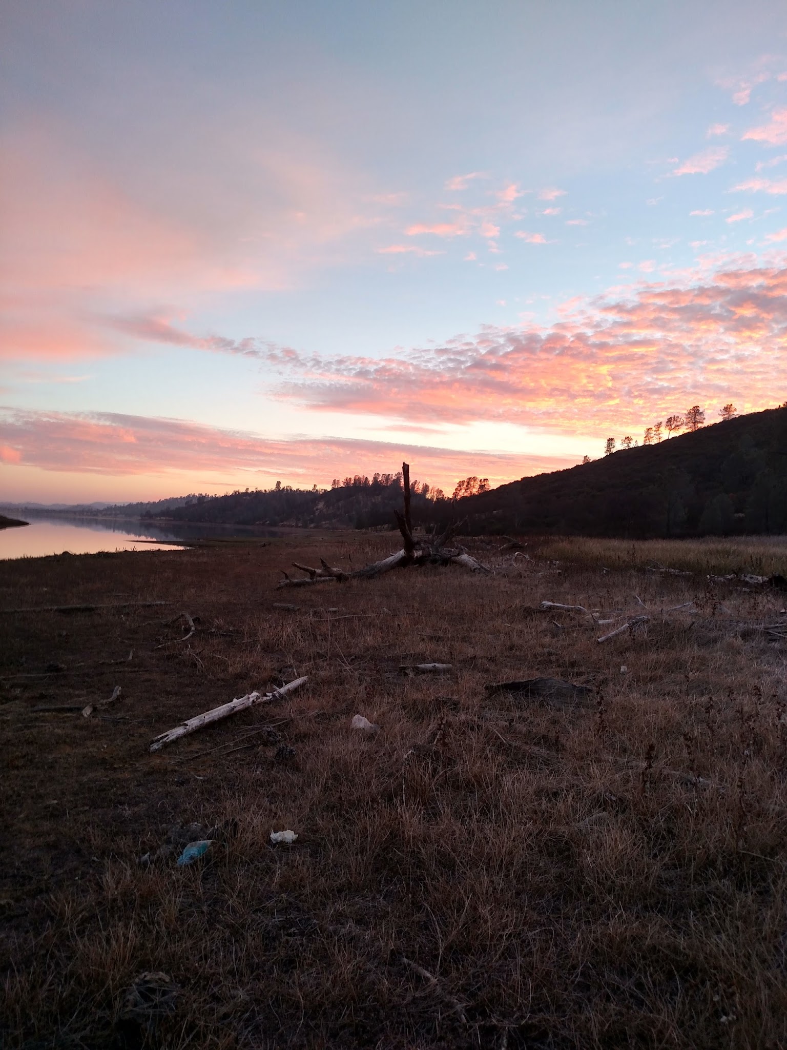 Pines Group Site - Stony Gorge Reservoir