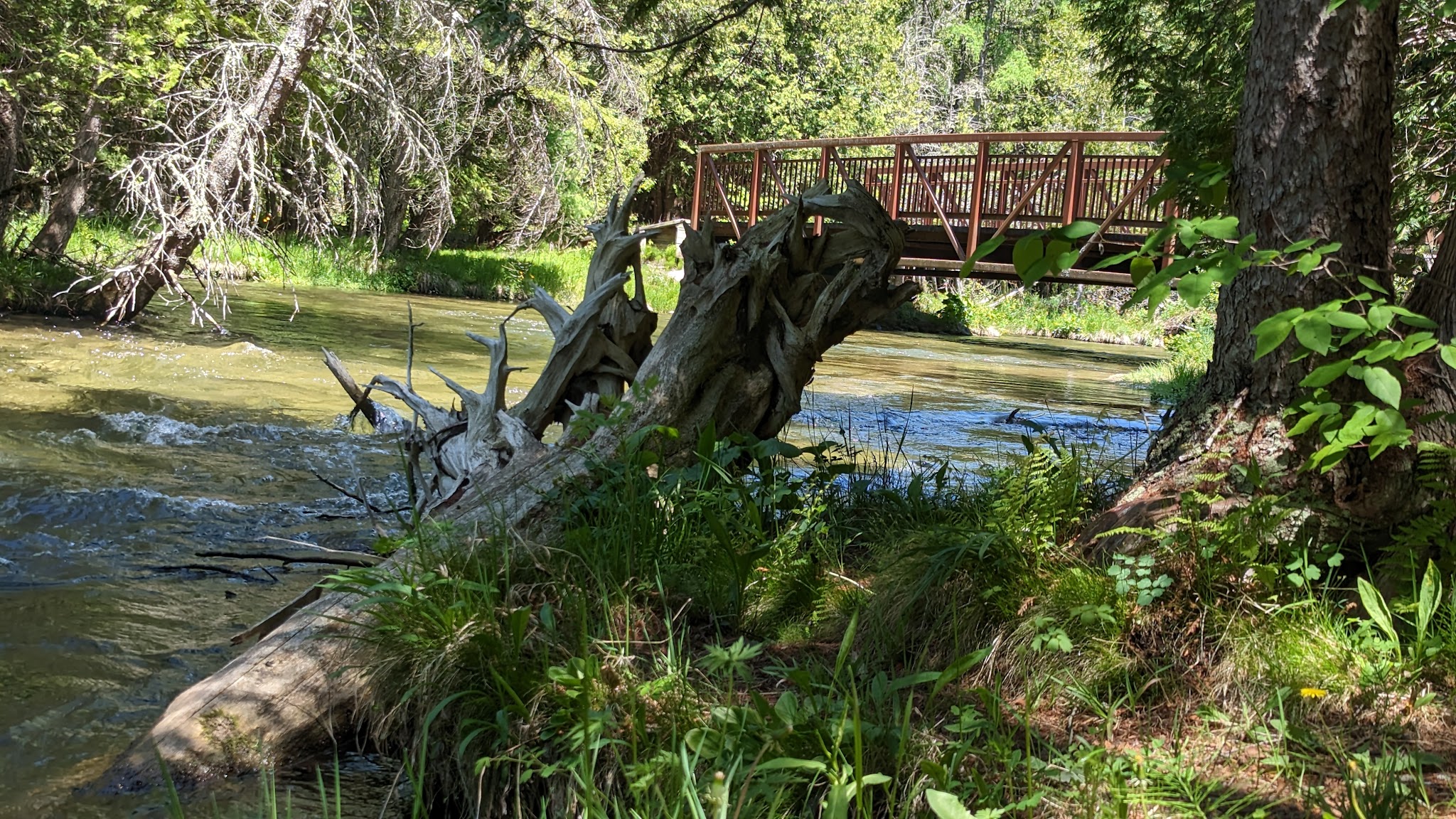 Pinney Bridge State Forest Campground