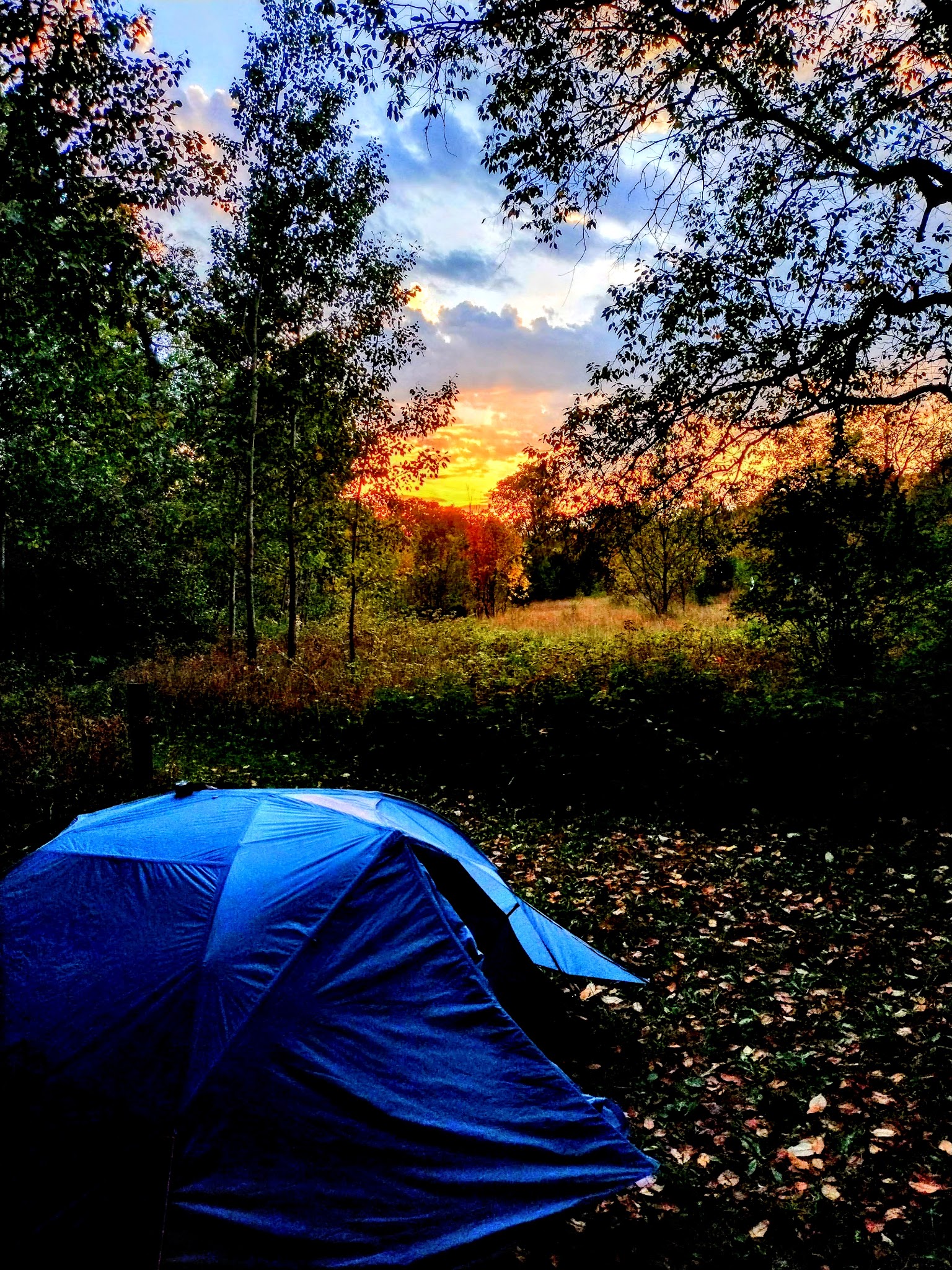 Pinney Bridge State Forest Campground