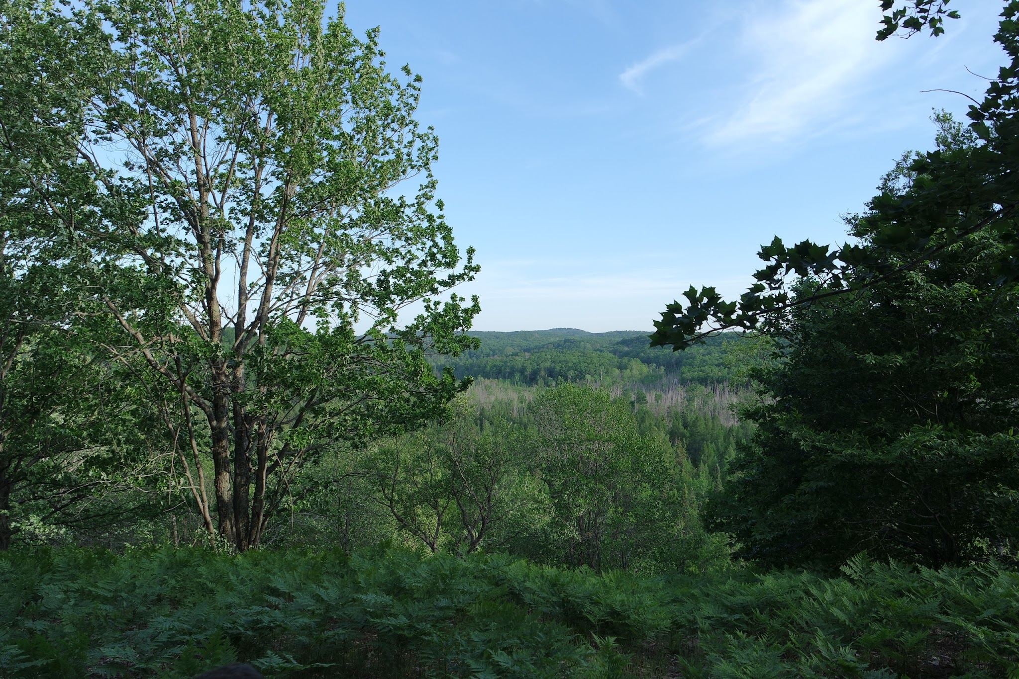Pinney Bridge State Forest Campground