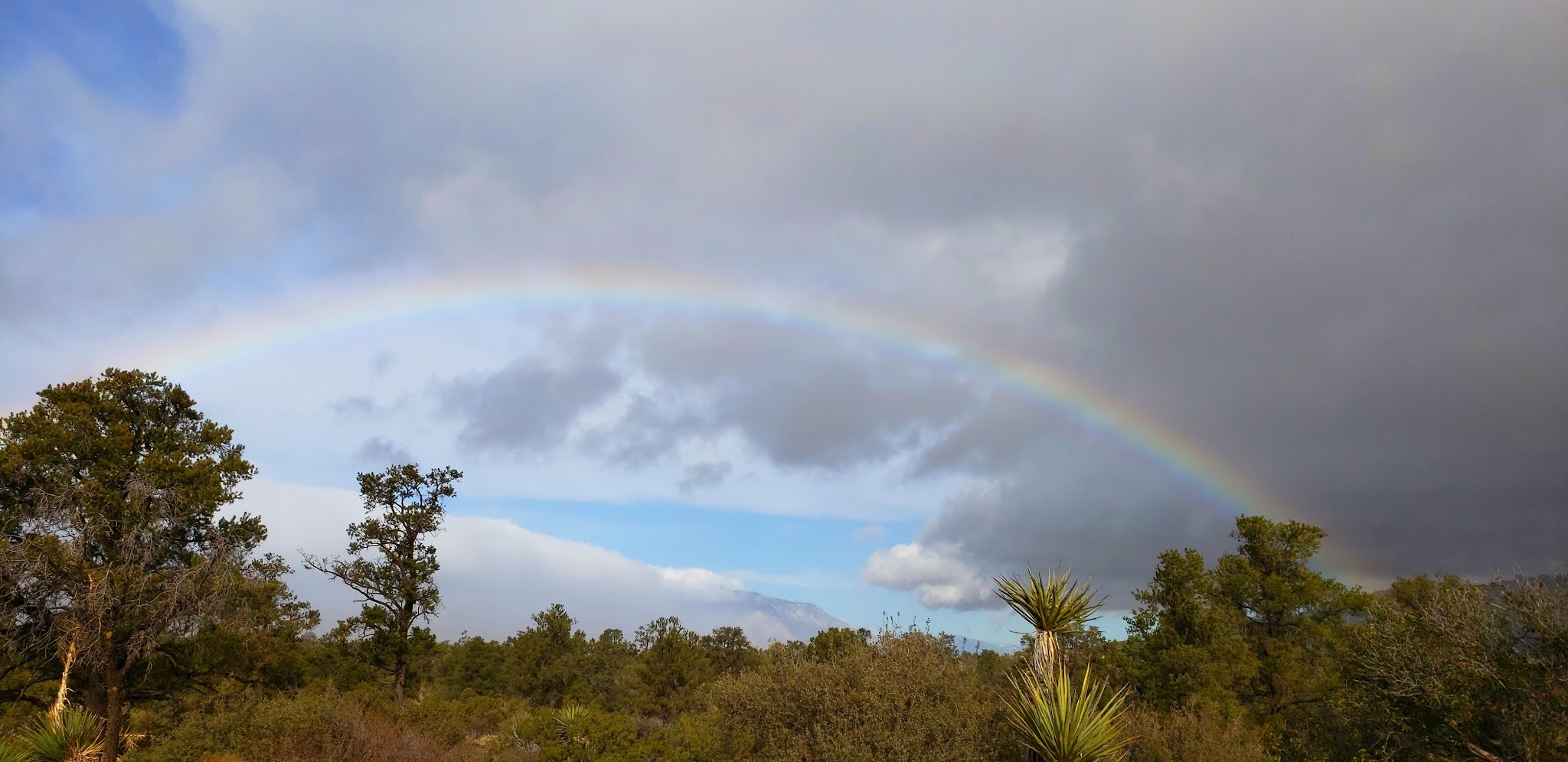 Pinyon Flat Campground (San Bernardino National Forest)