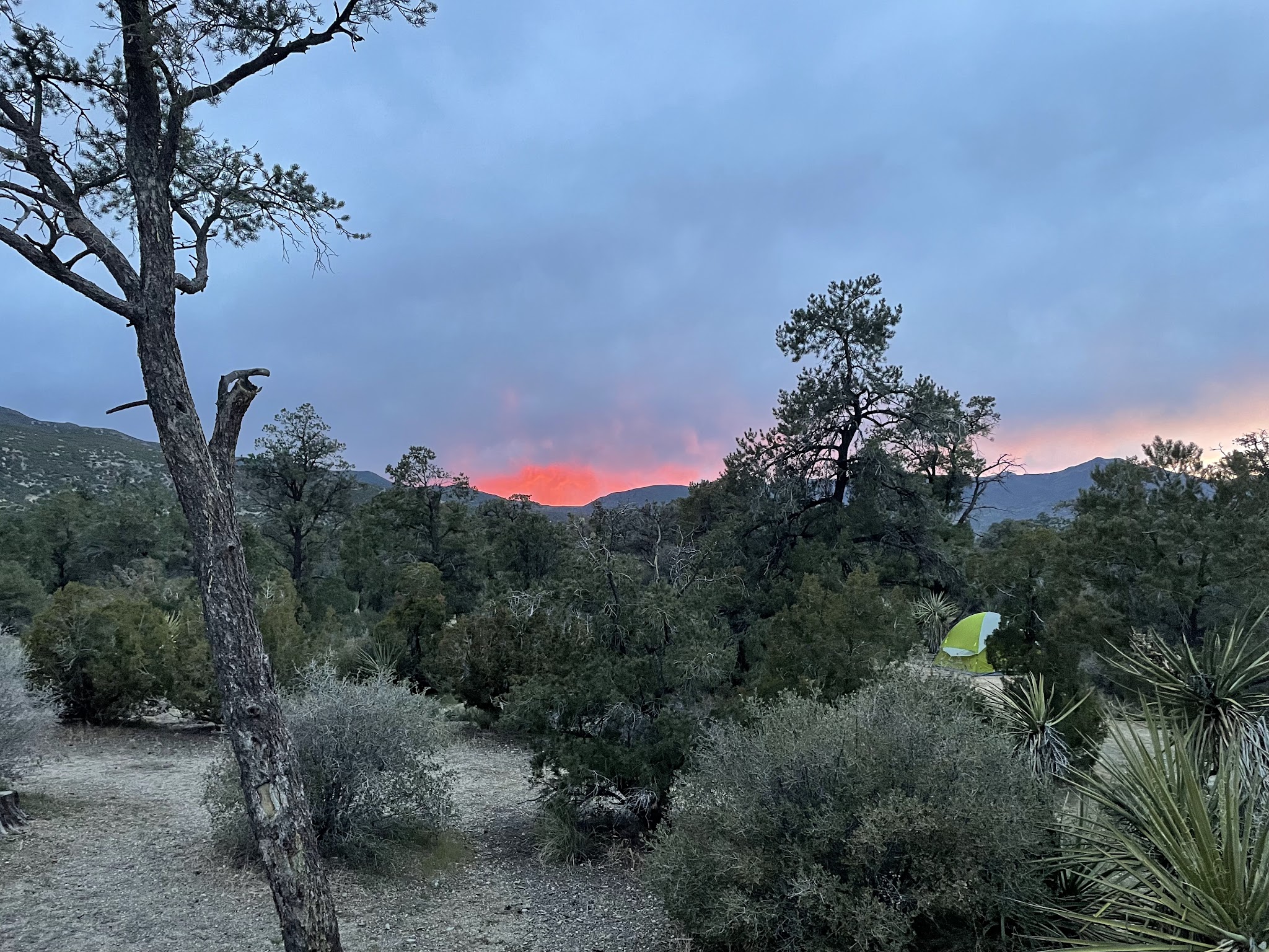 Pinyon Flat Campground (San Bernardino National Forest)