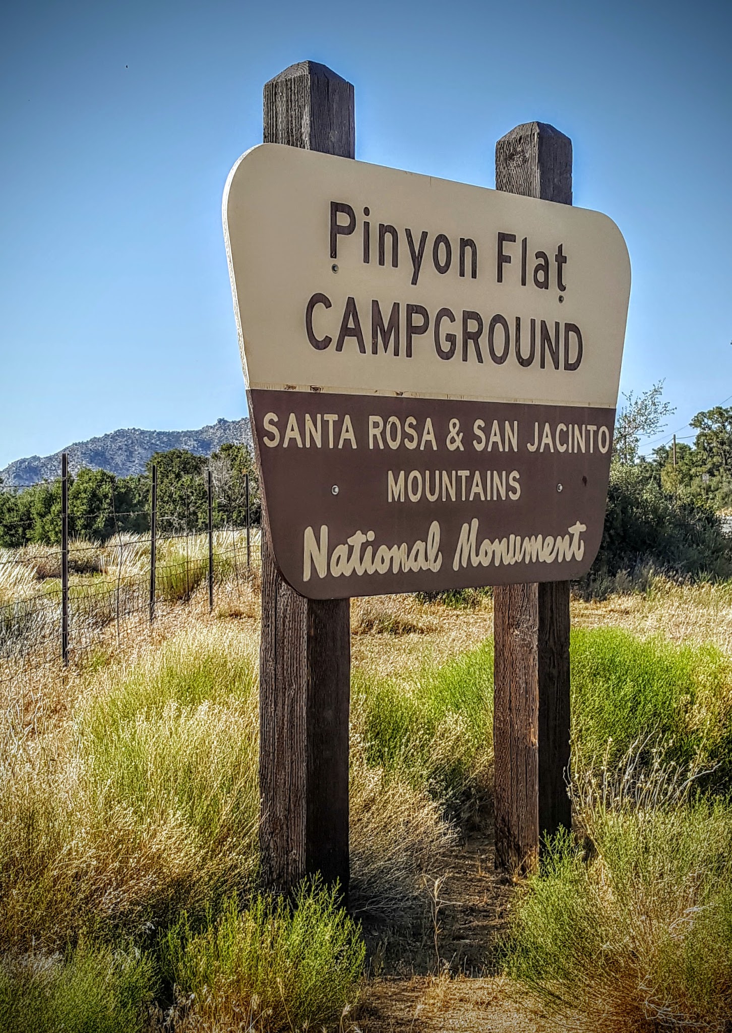 Pinyon Flat Campground (San Bernardino National Forest)
