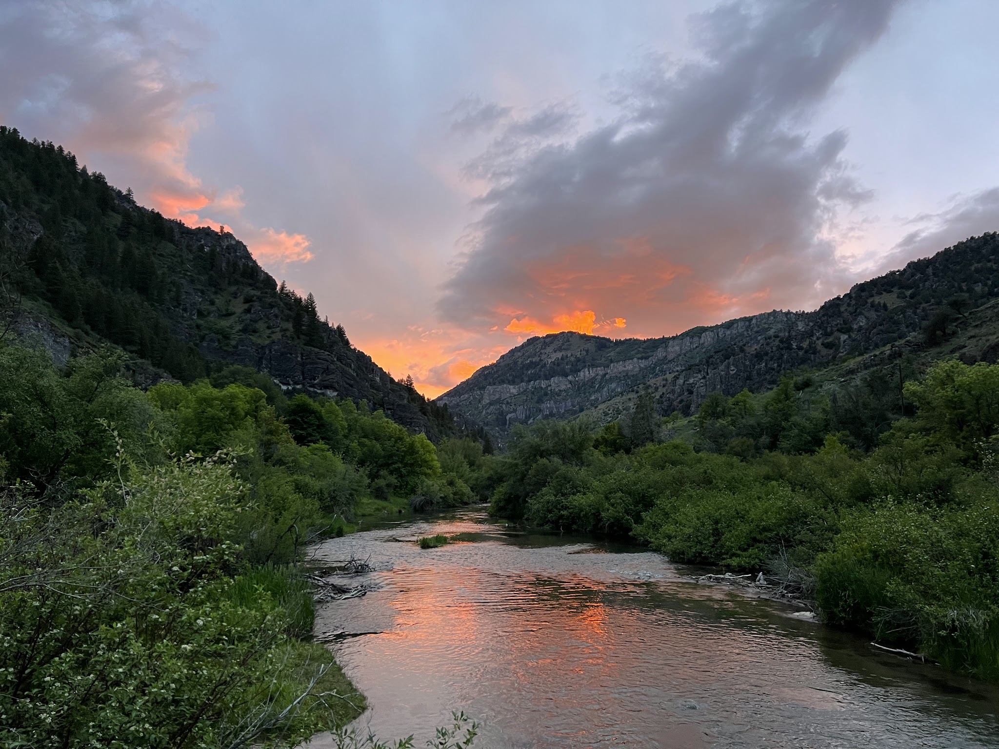 Pioneer Campground (Ut)