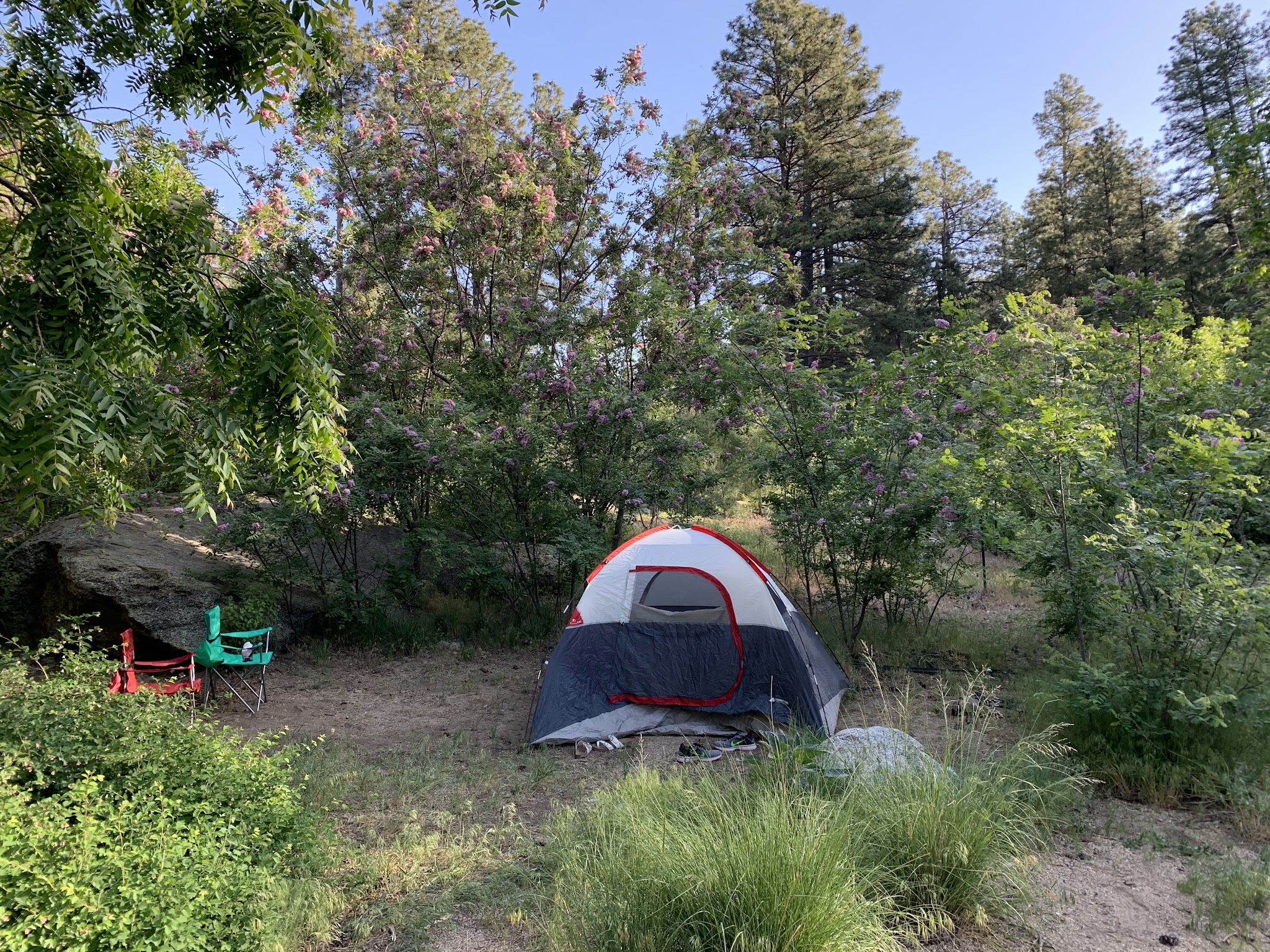 Pioneer Pass Camping Area