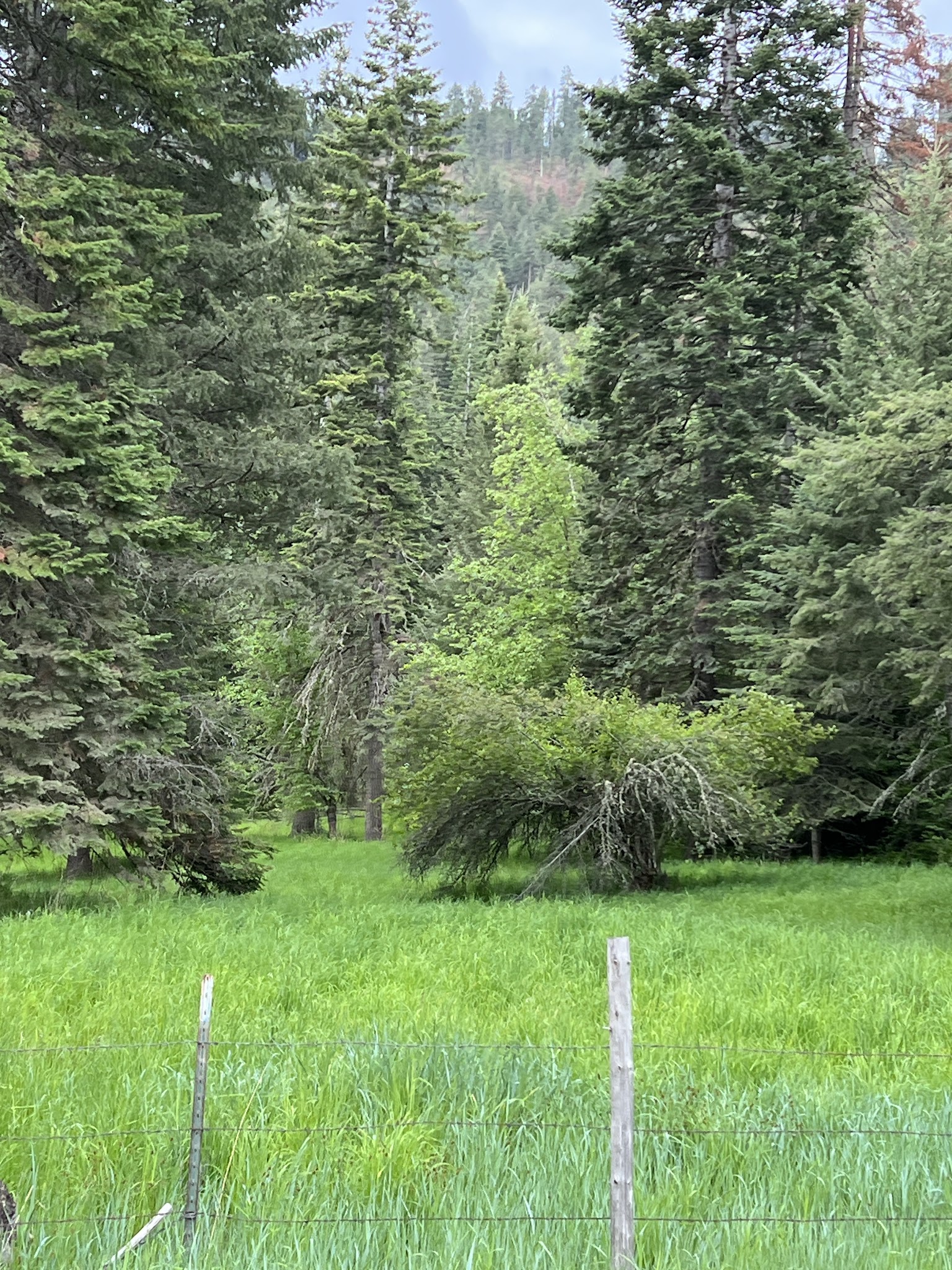 Pittsburg Campground