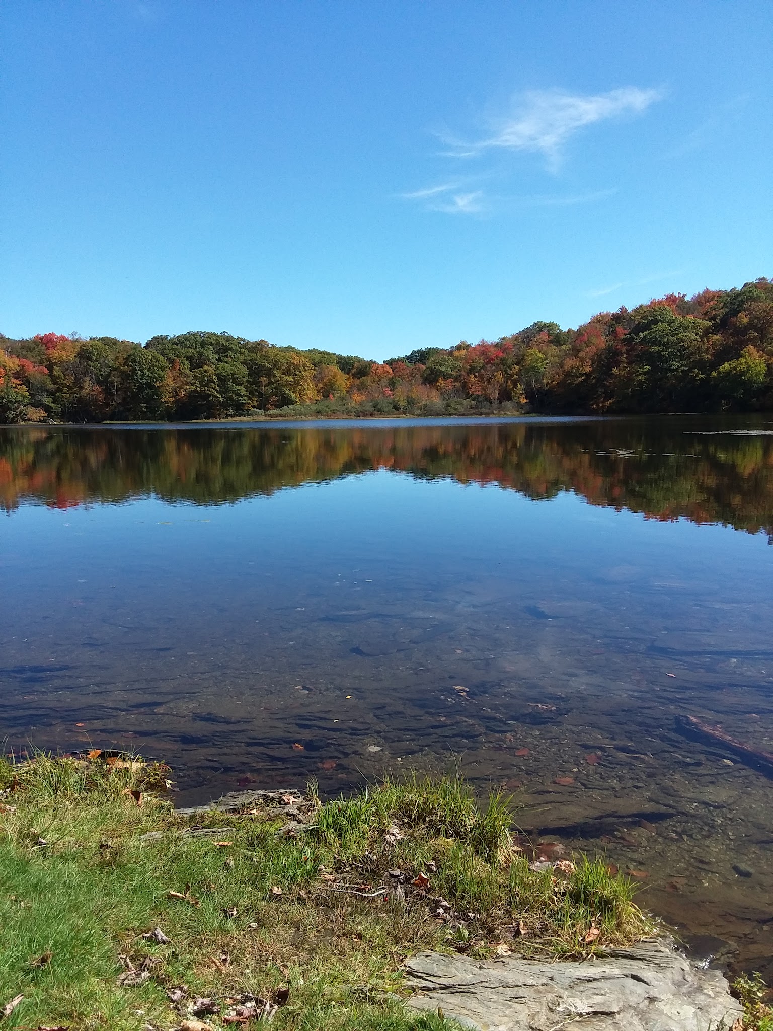 Pittsfield State Forest