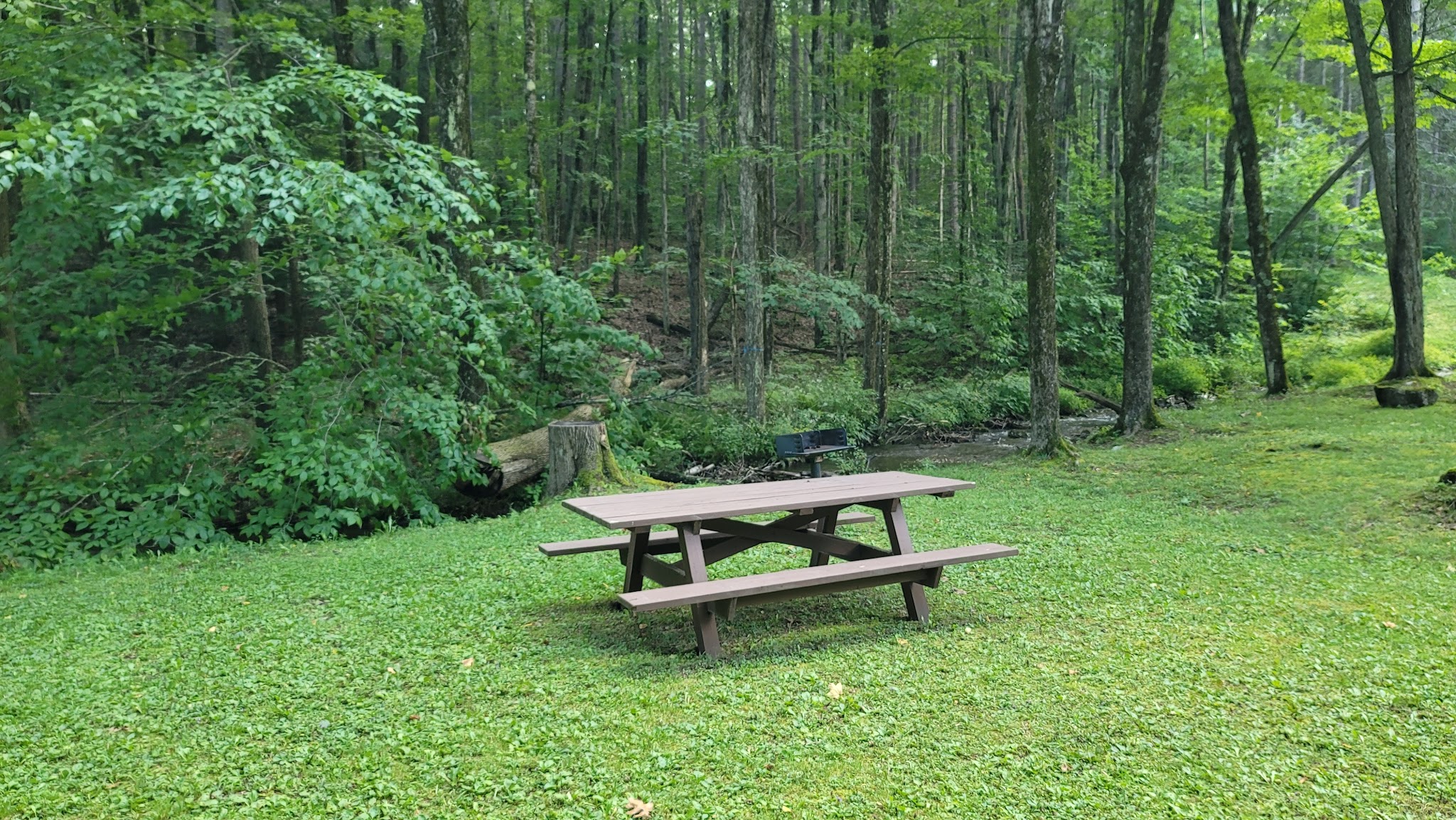 Pittsfield State Forest