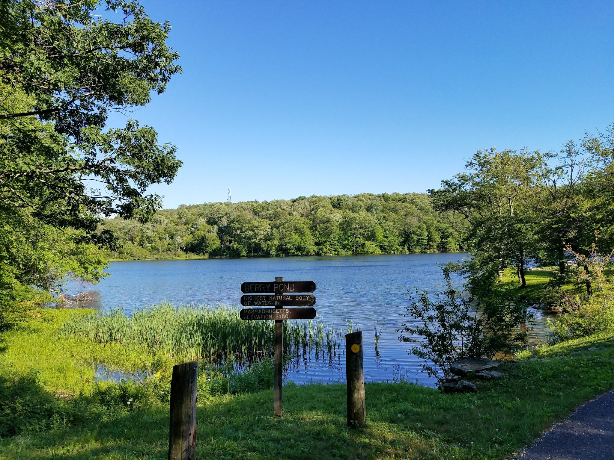 Pittsfield State Forest