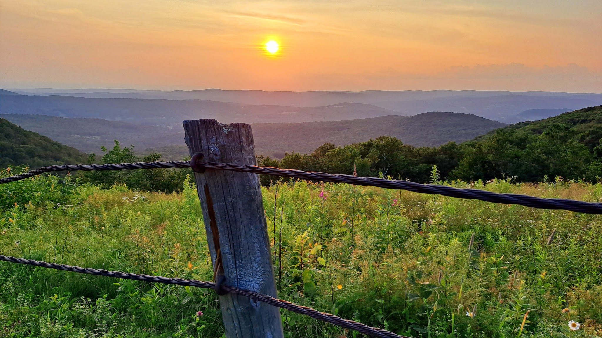 Pittsfield State Forest