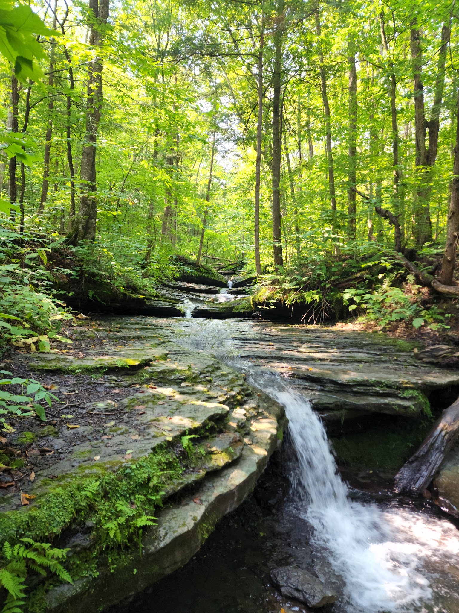Pixley Falls State Park