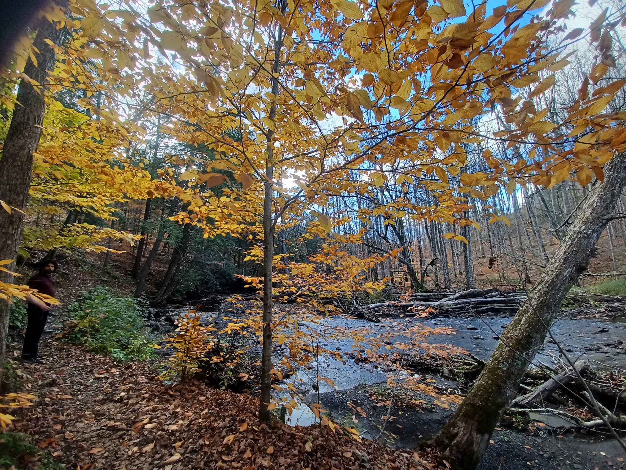 Pixley Falls State Park