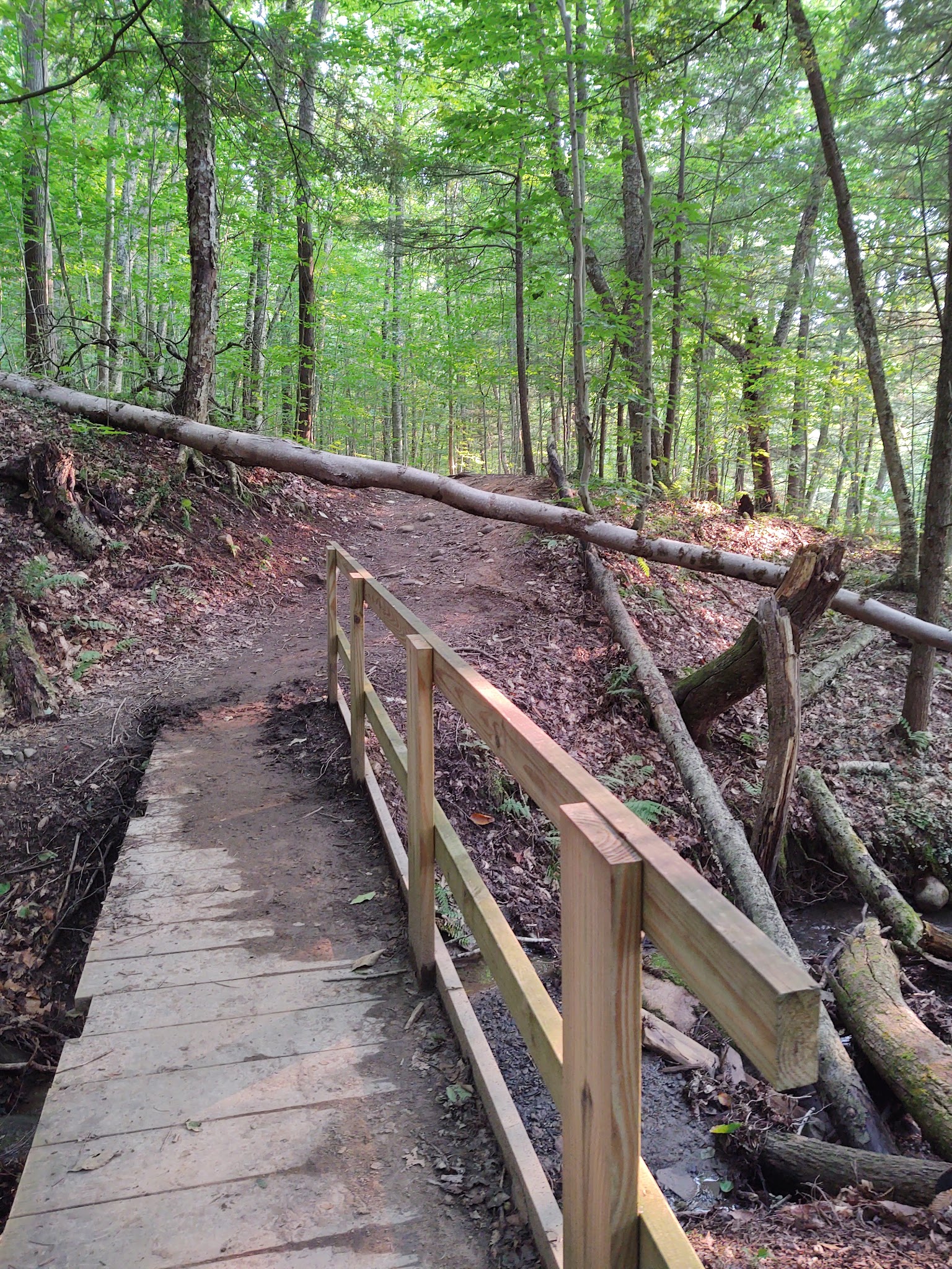 Pixley Falls State Park