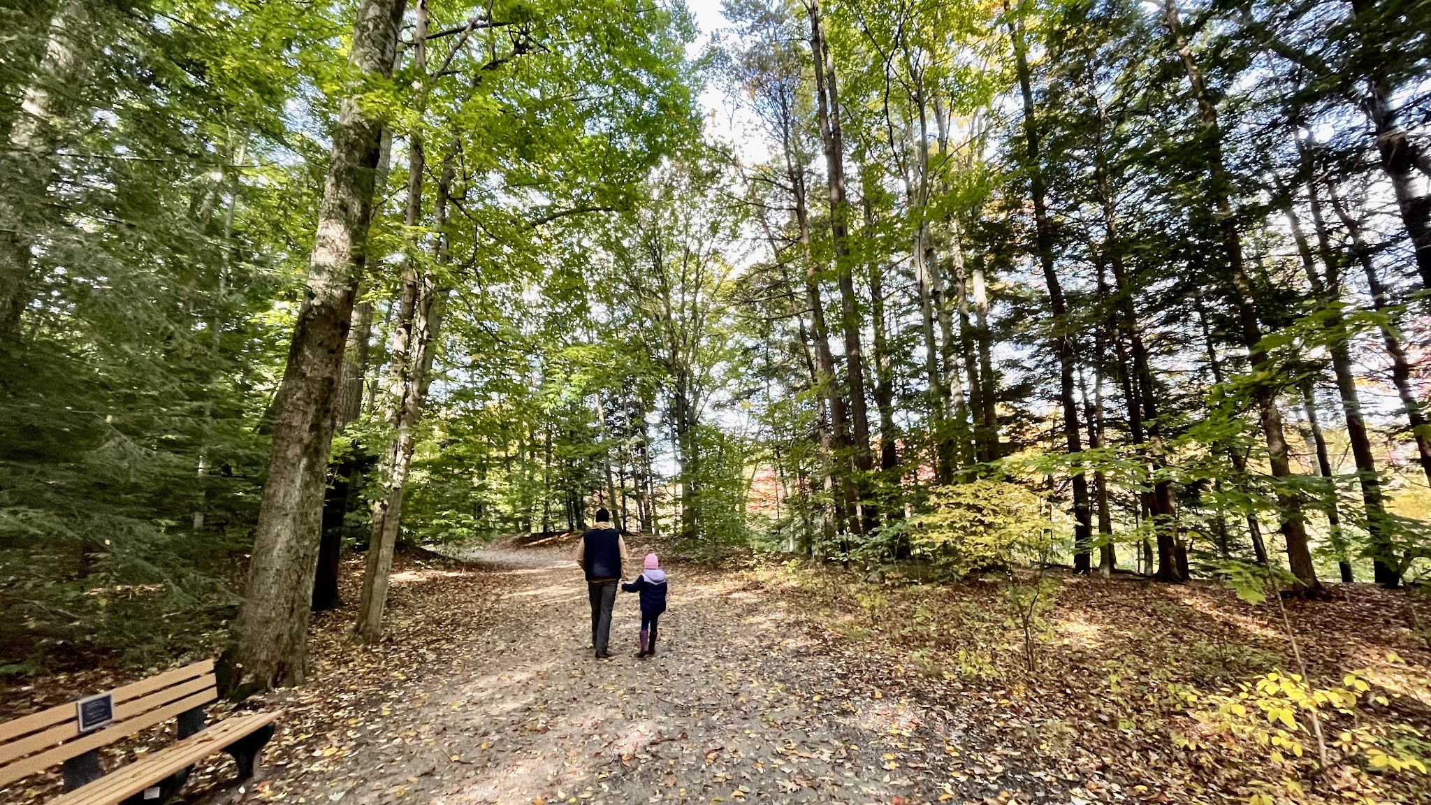 Hoffmaster Group Youth Camp