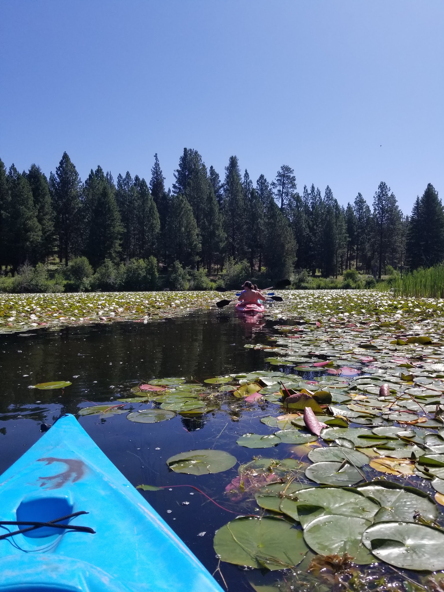 Placid Lake State Park