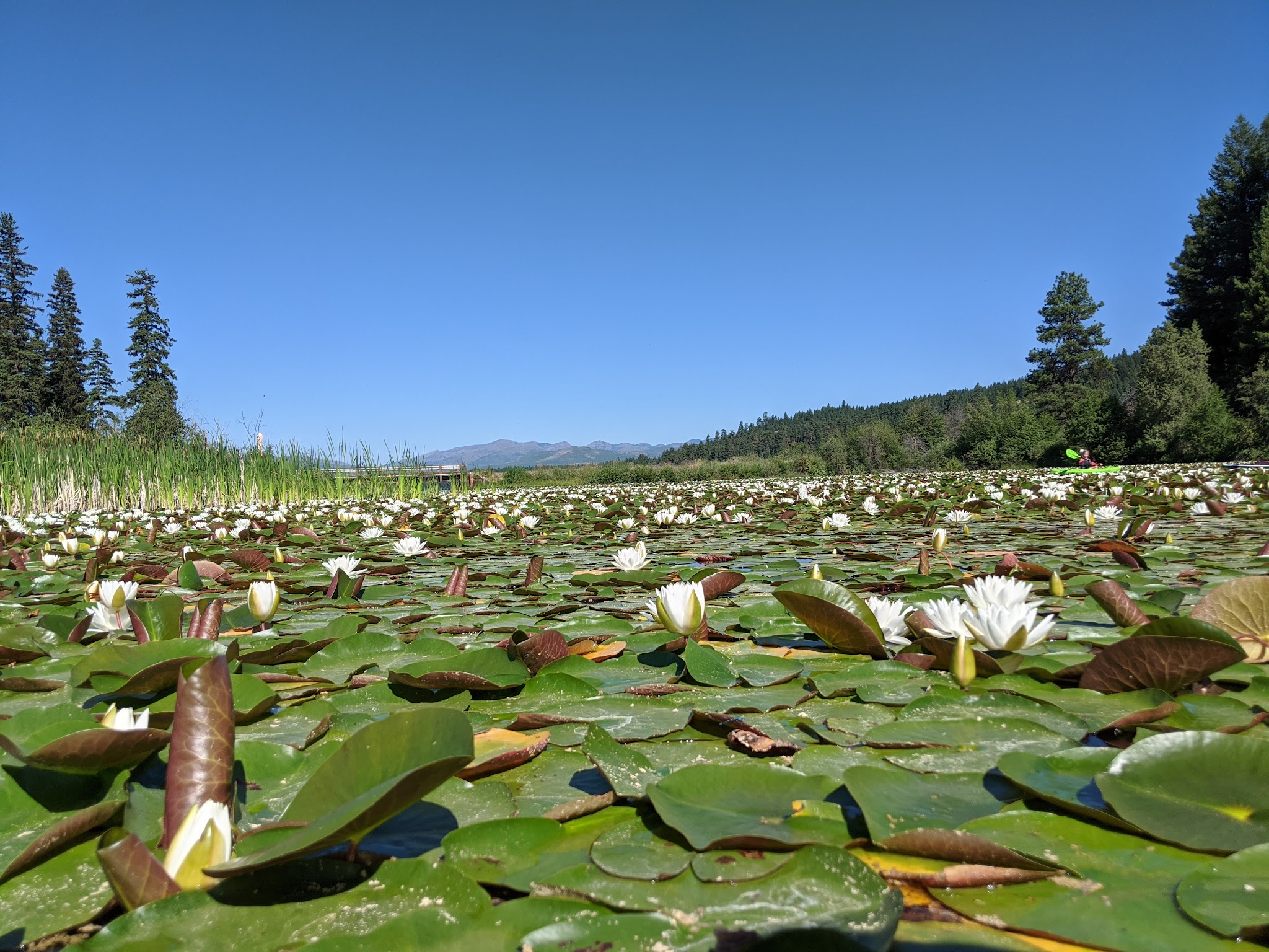 Placid Lake State Park